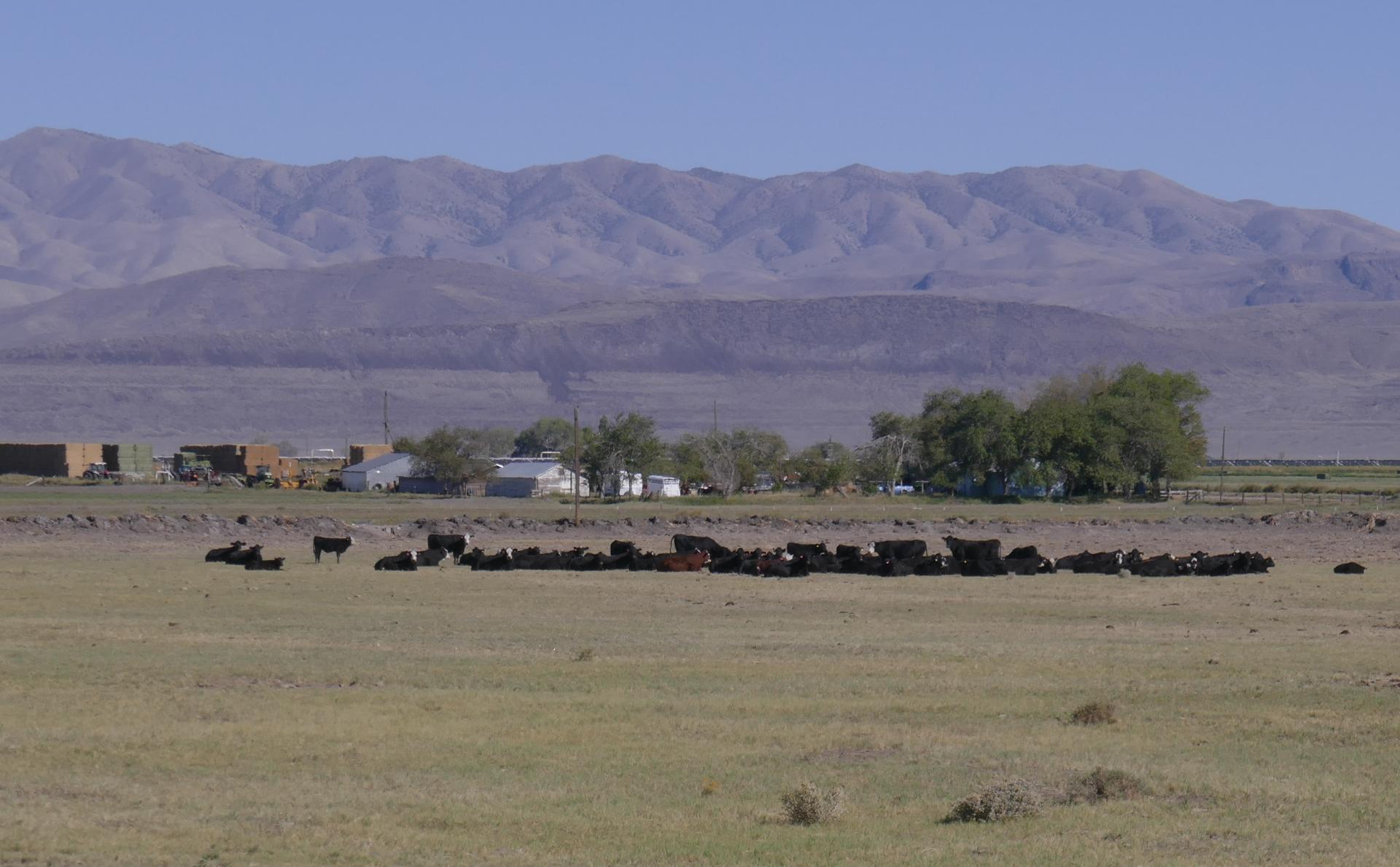 Im20211009oriP1030660