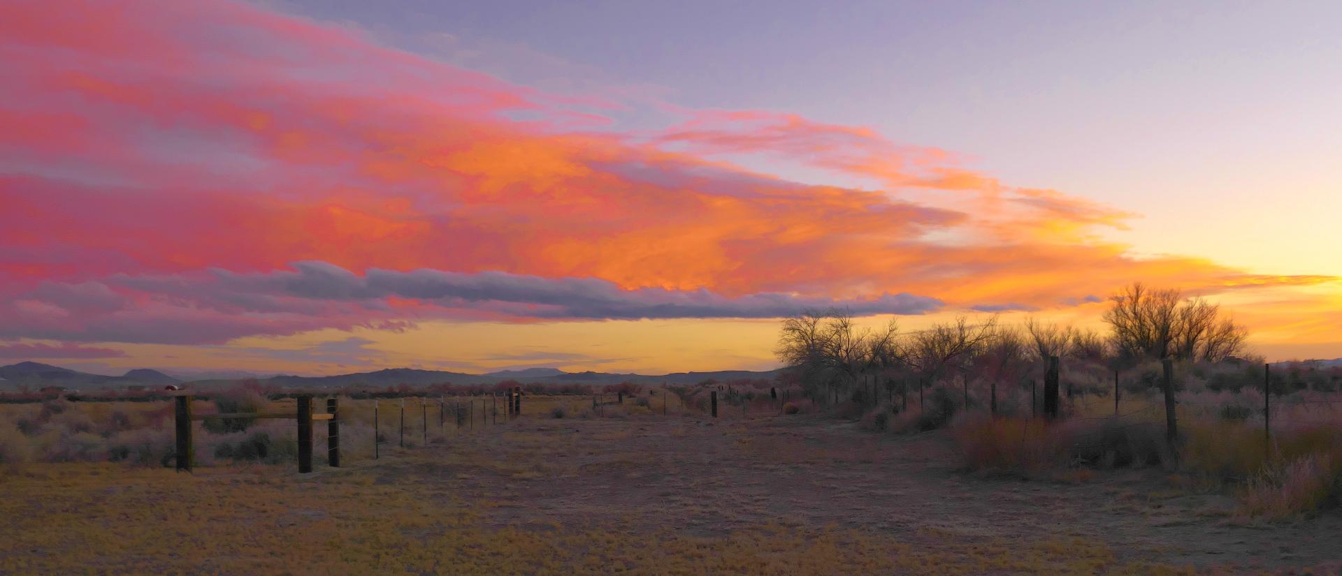 Im20220116oriP1040645rw2