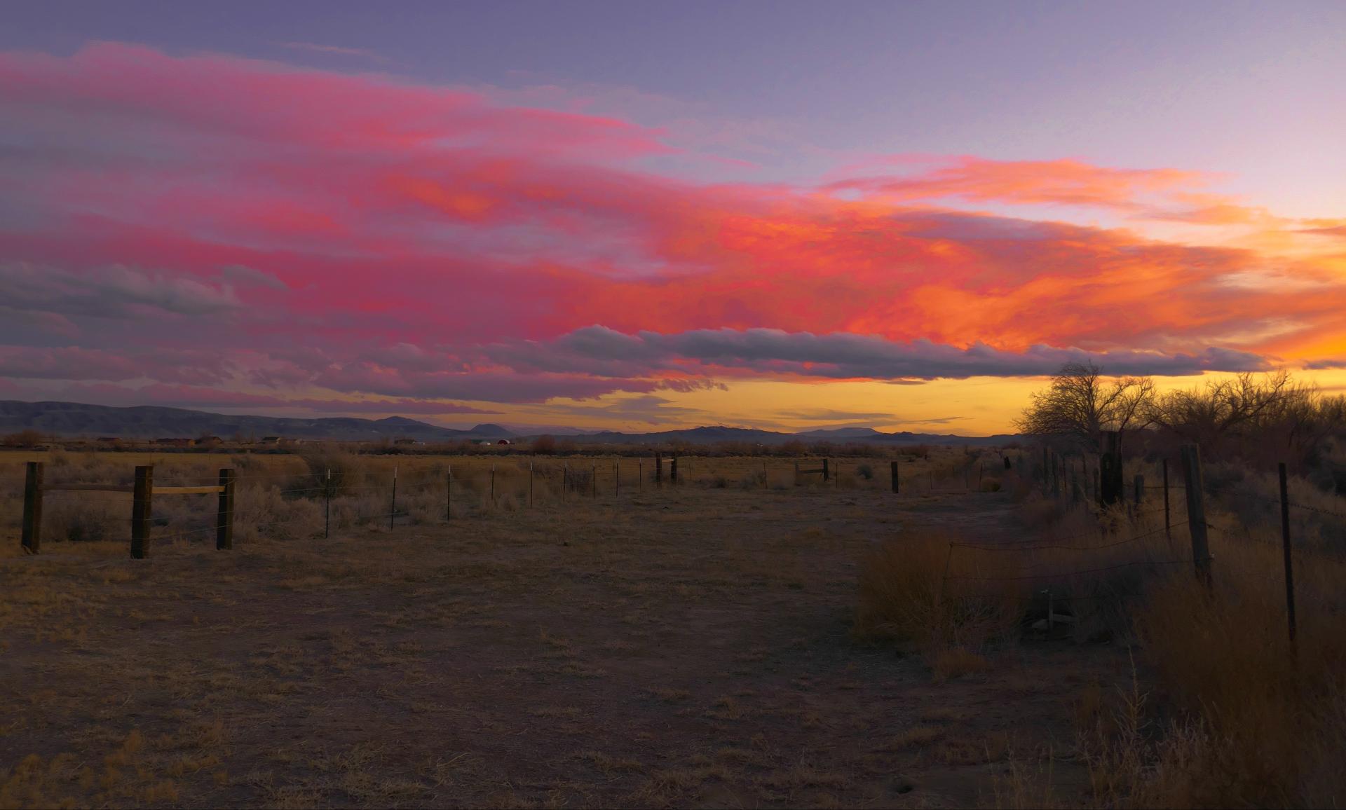 Im20220116oriP1040652rw2