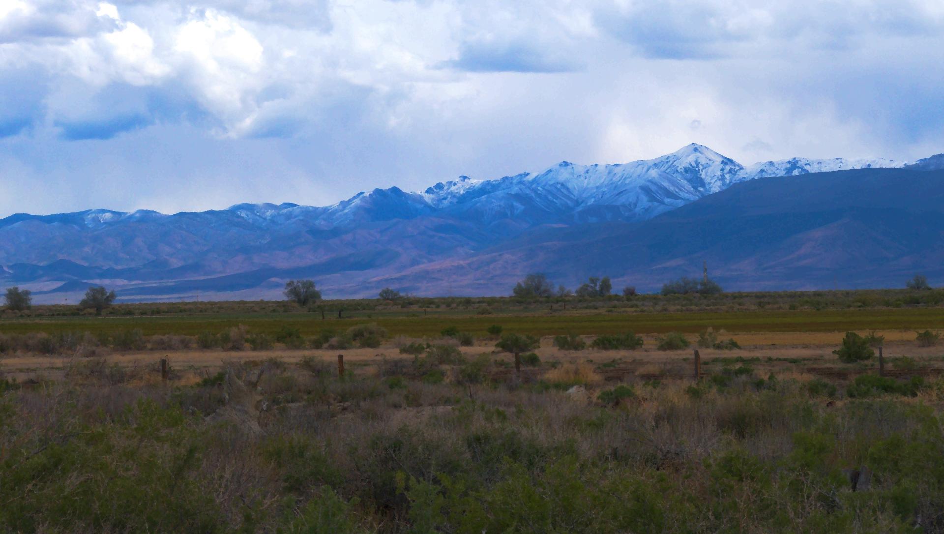 Im20220512P1050689rw2