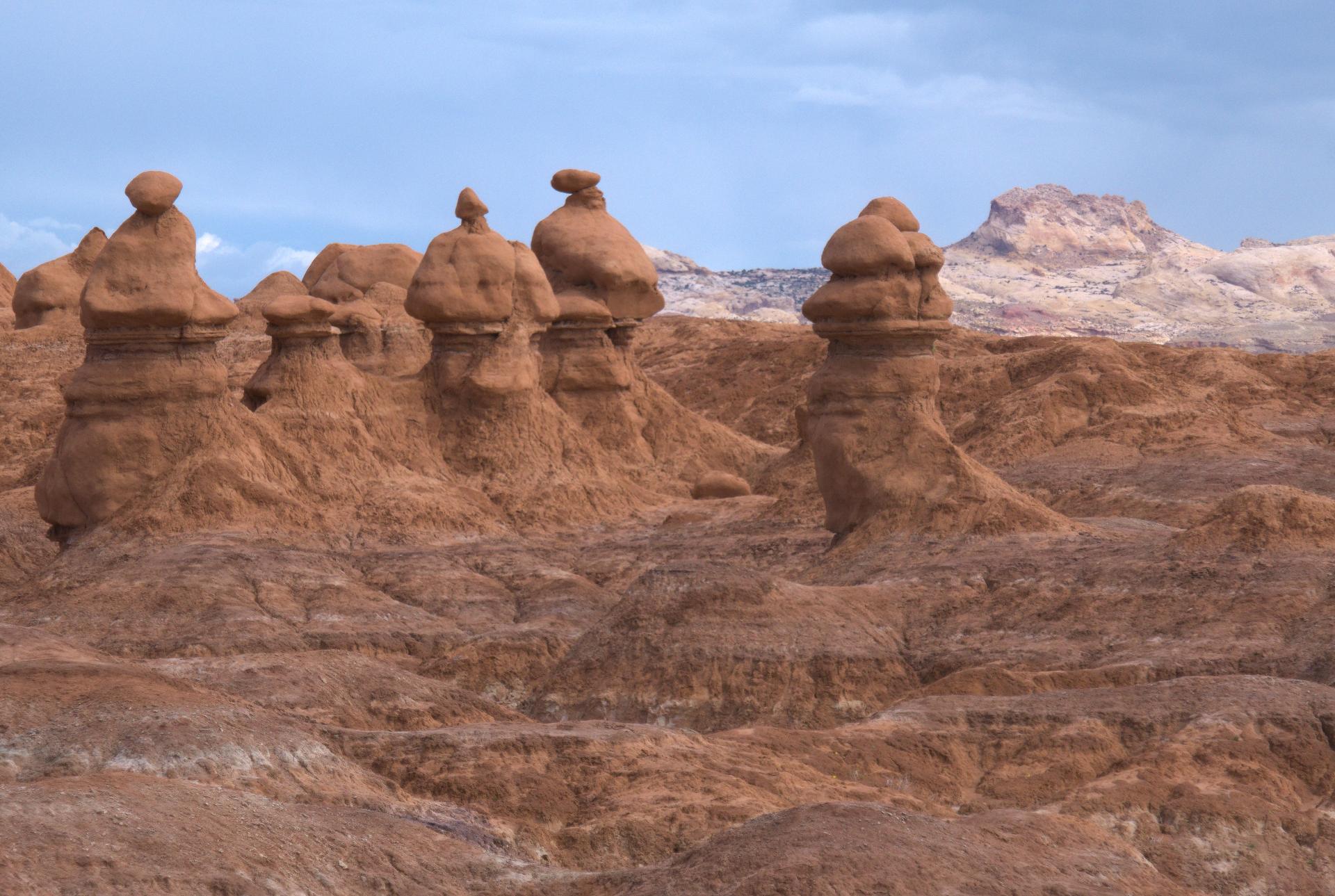 D20230514F1090288rwsm