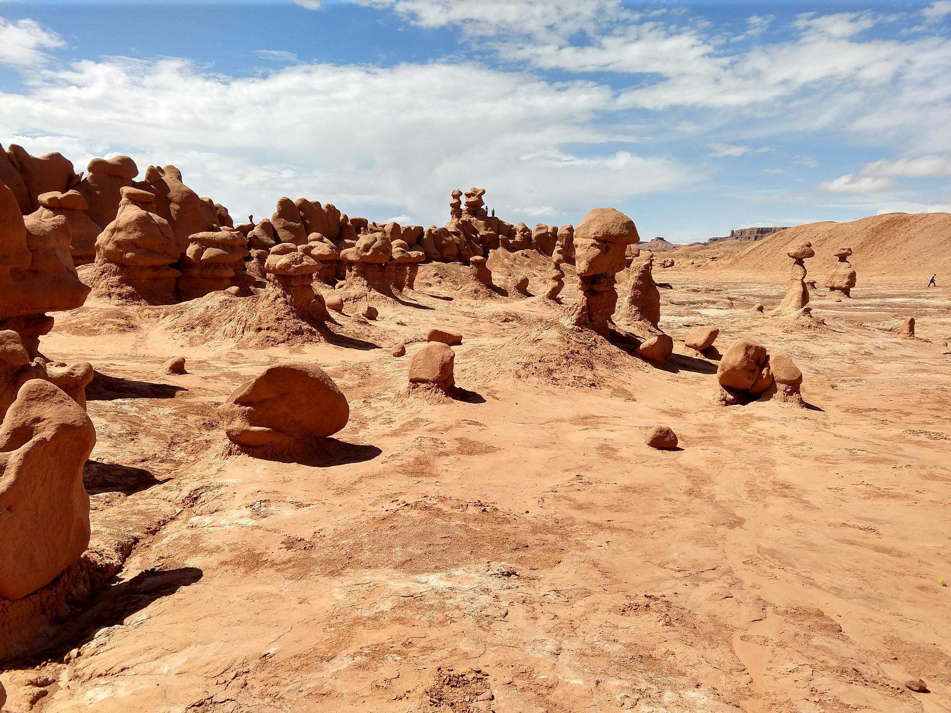 D20230514F110913075sm