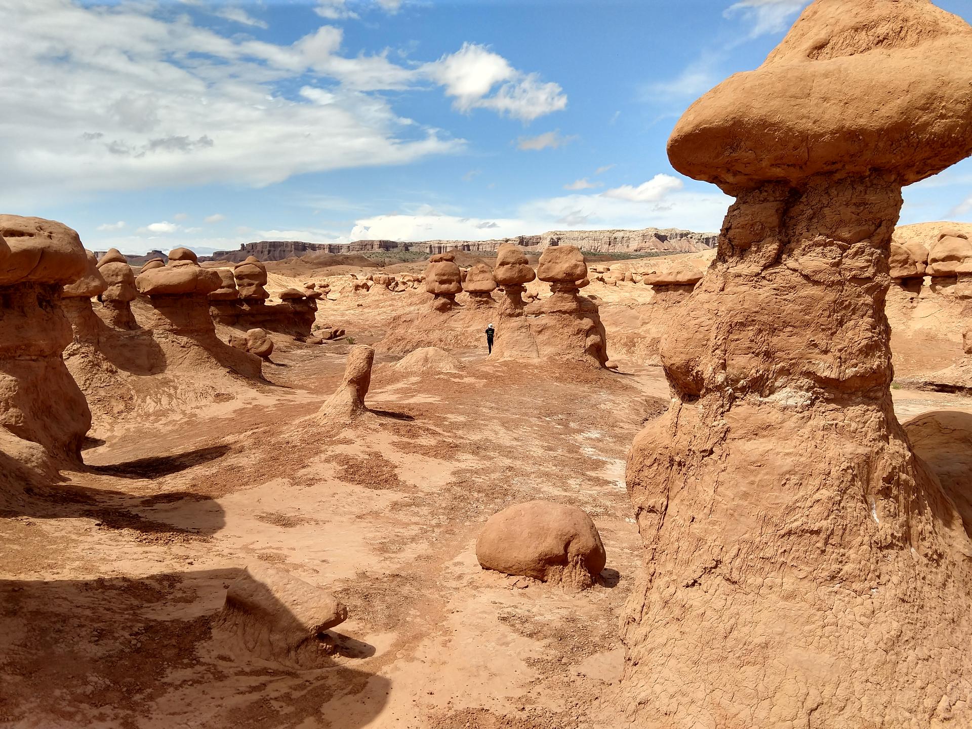 D20230514F112846098sm