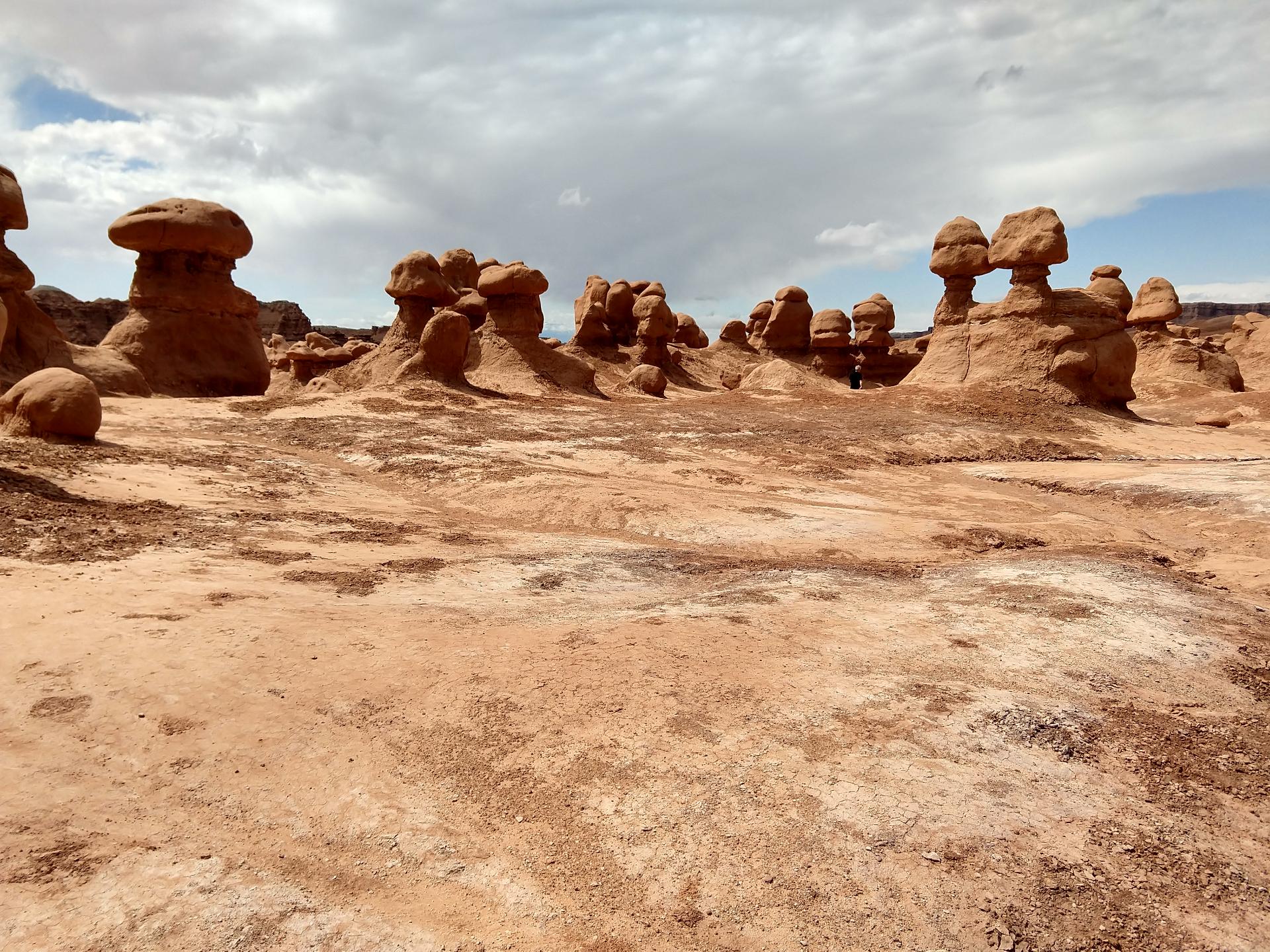 D20230514F113655983sm