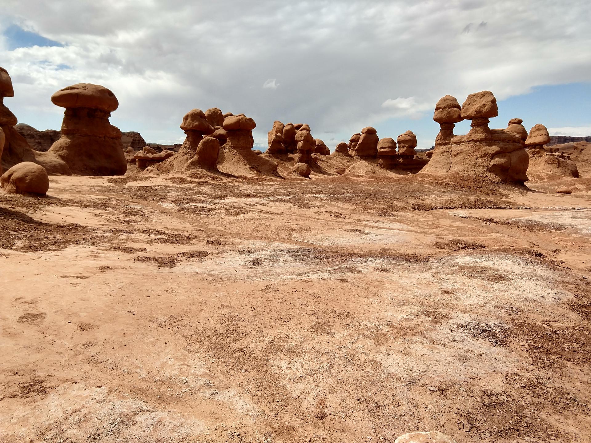 D20230514F113704583sm