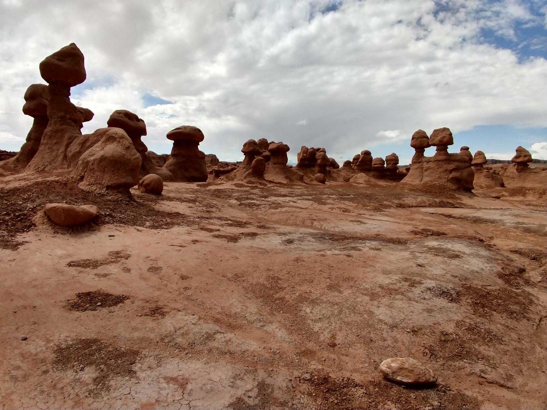 D20230514F113714223sm