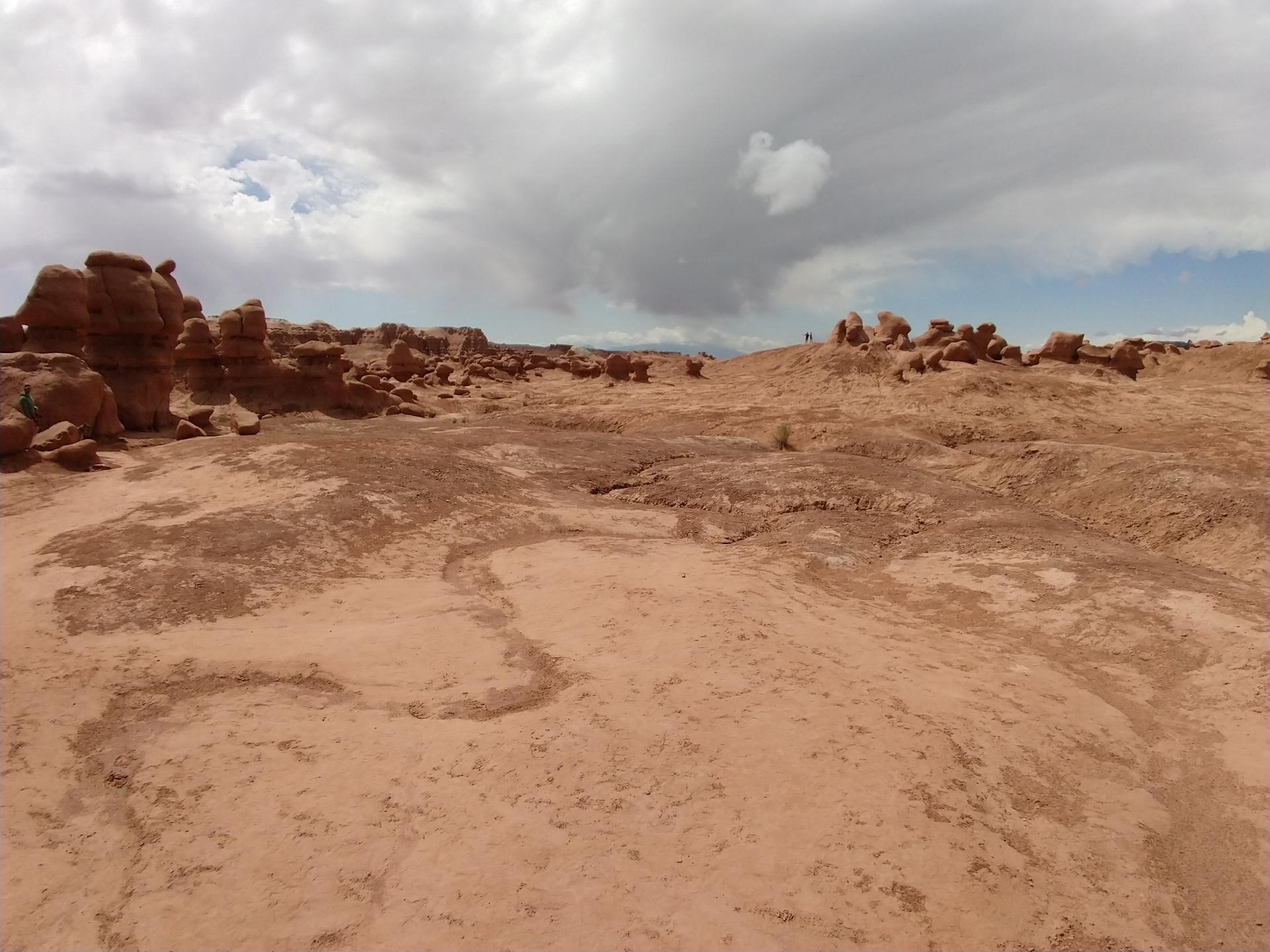 D20230514F114705486sm