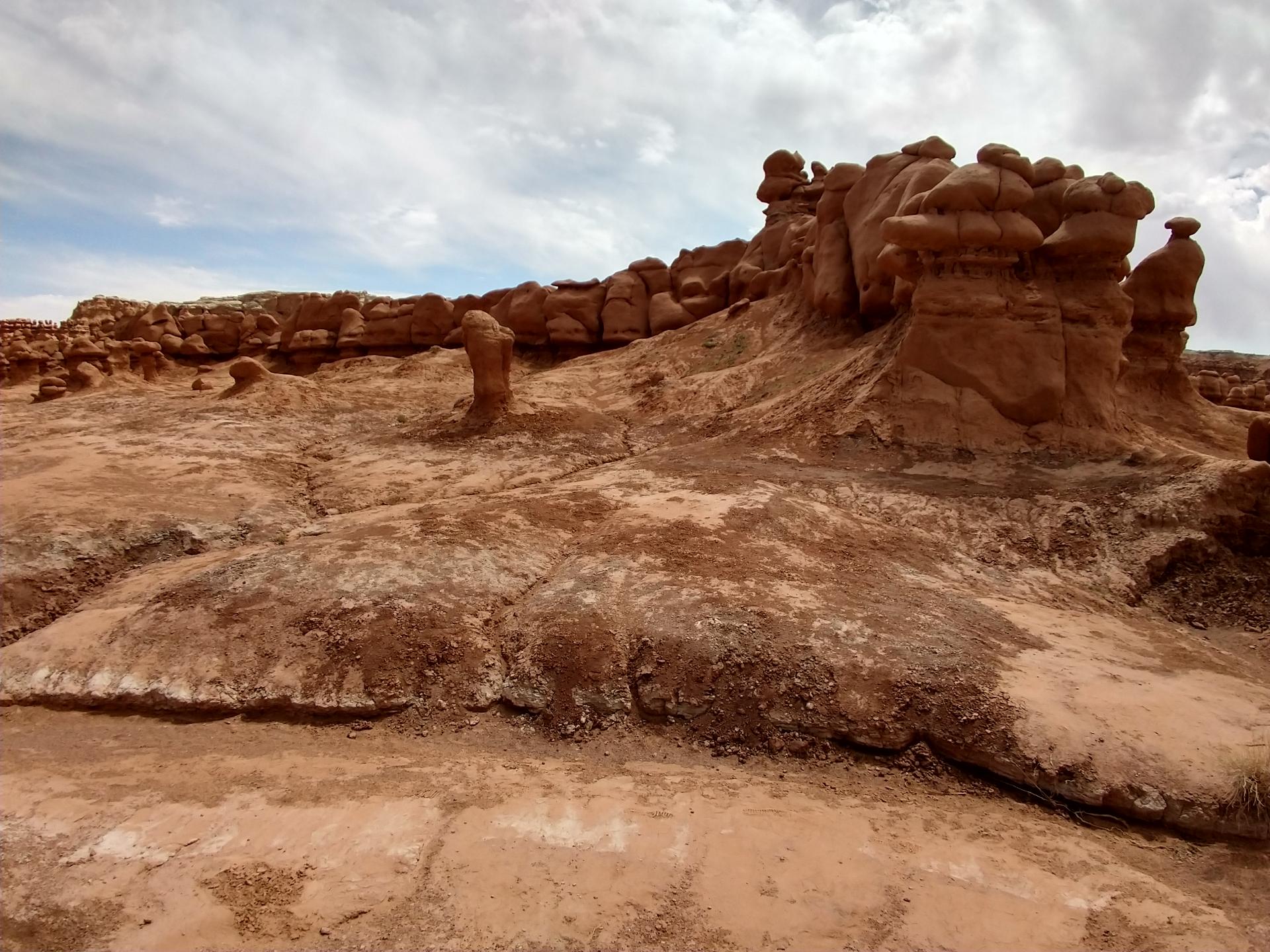 D20230514F114938454sm