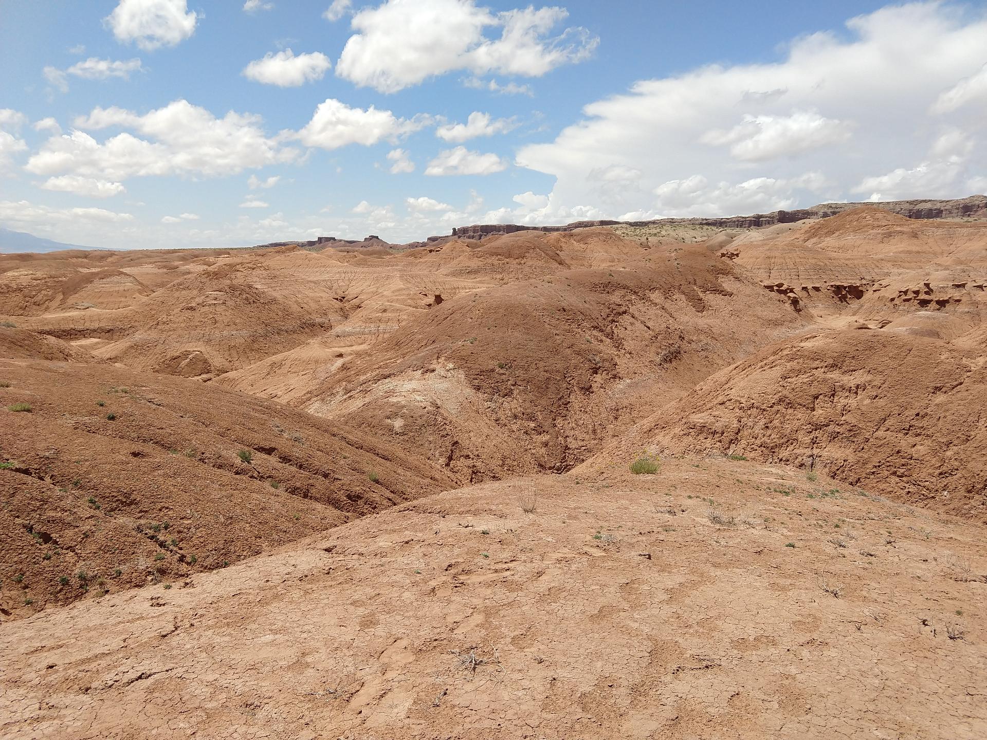 D20230514F125533413sm