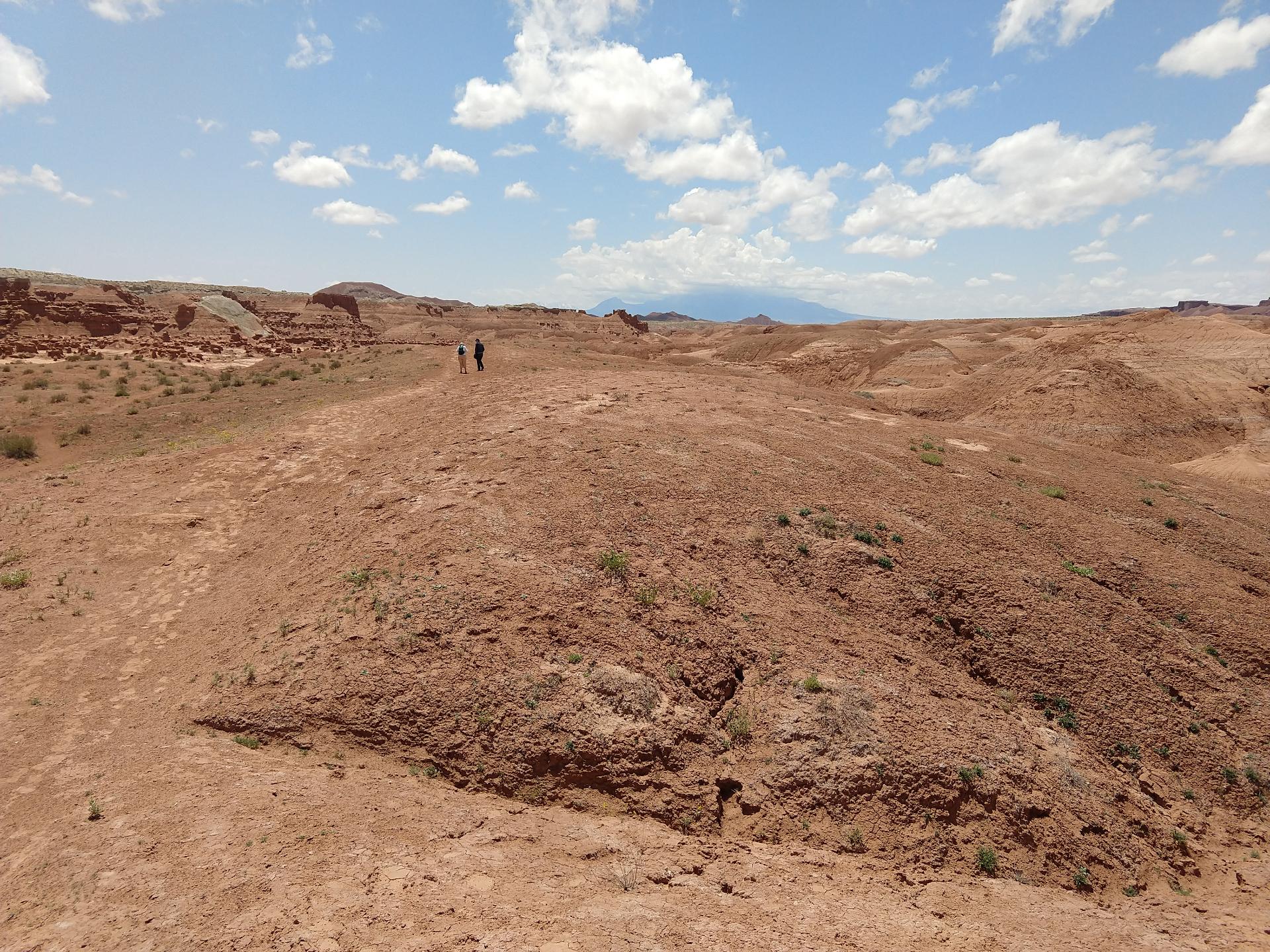 D20230514F125608215sm