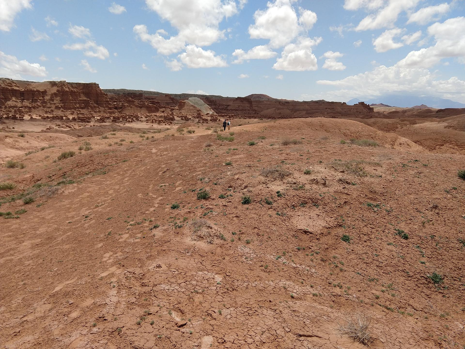 D20230514F130137087sm