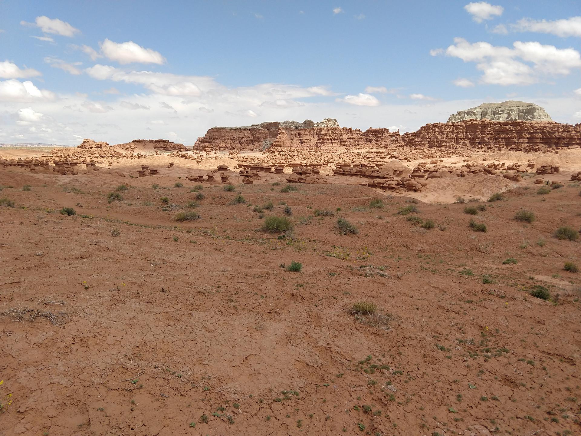 D20230514F130454541sm