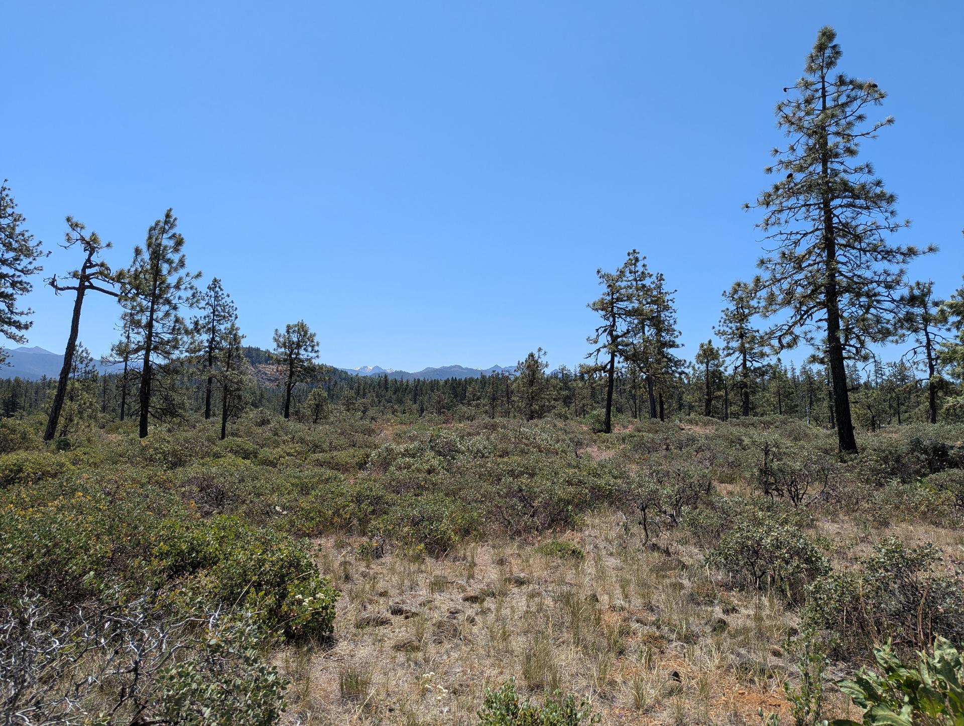 PXL_20250603_191459725sm