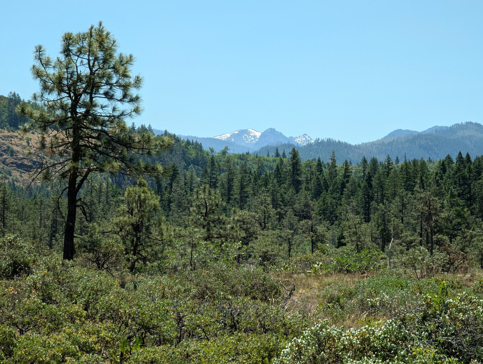 PXL_20250603_191519756sm