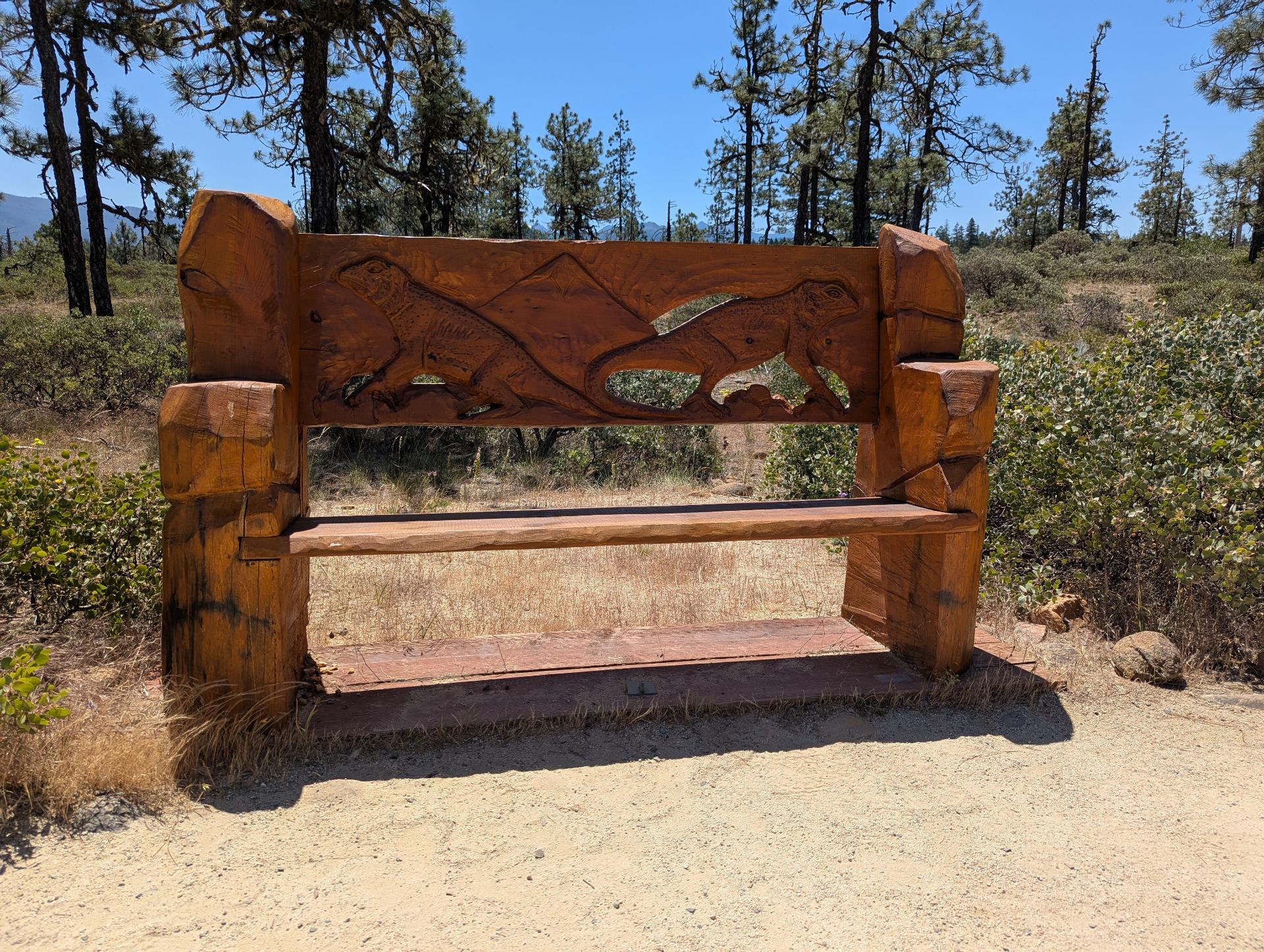 PXL_20250603_192056168sm