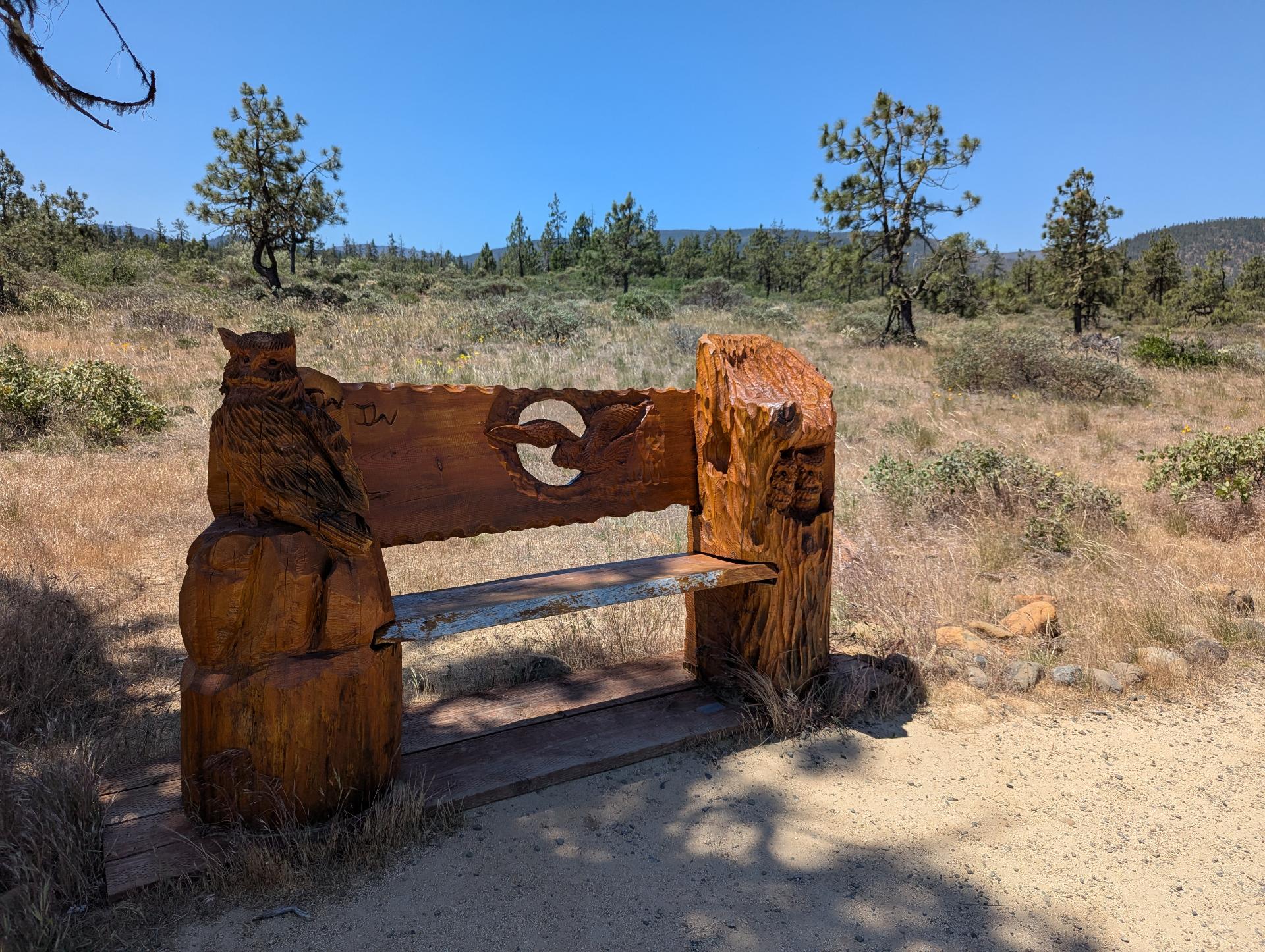 PXL_20250603_192606099sm