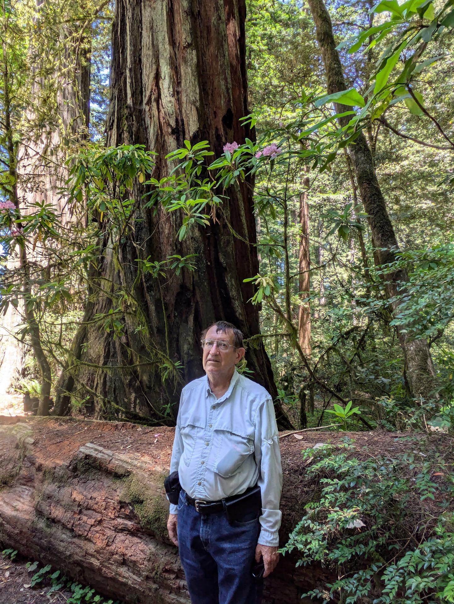 PXL_20250603_204728771sm