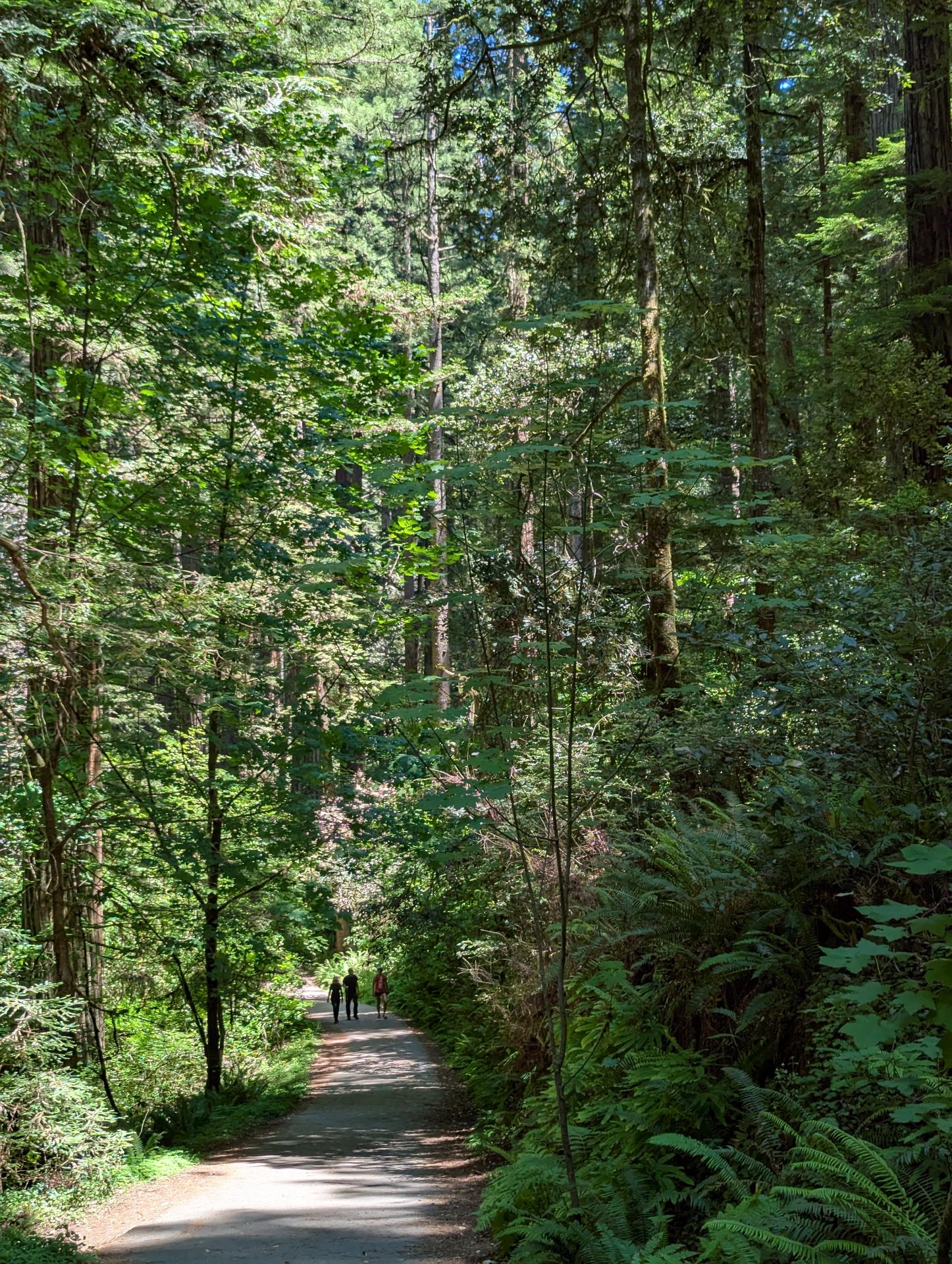 PXL_20250603_205158431sm