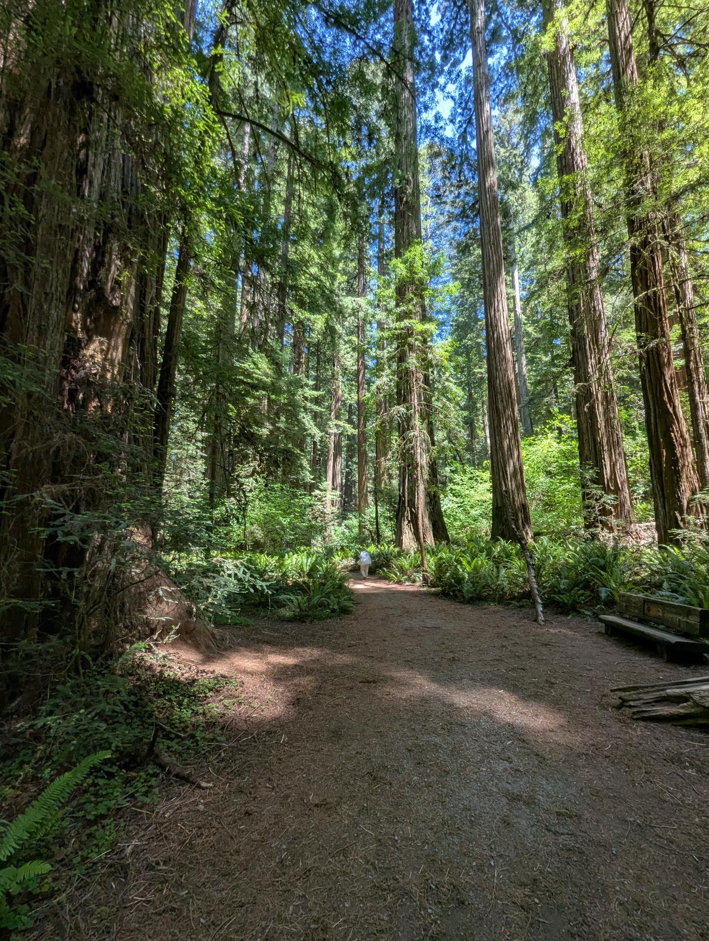 PXL_20250603_205651844sm