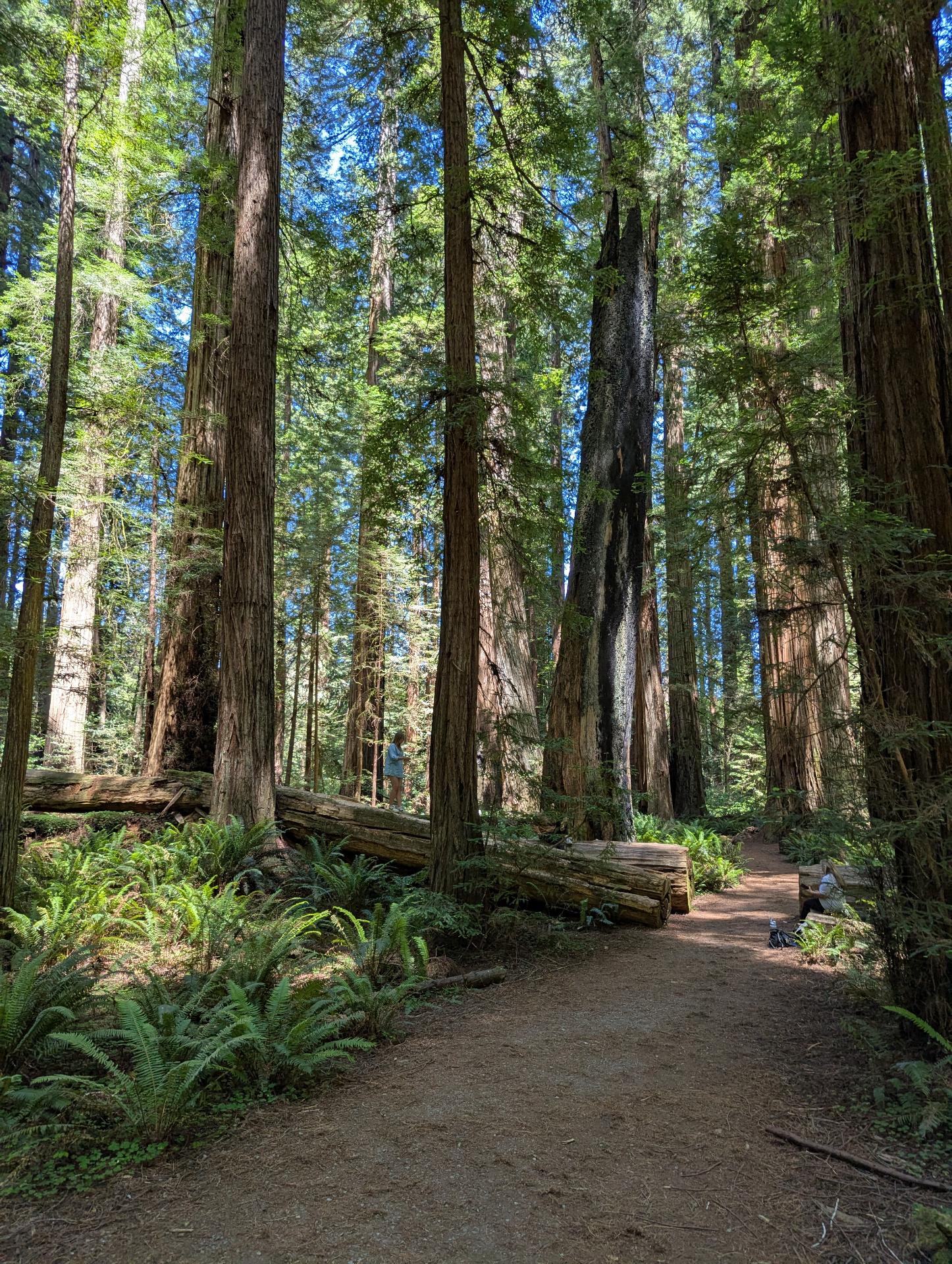 PXL_20250603_205833842sm