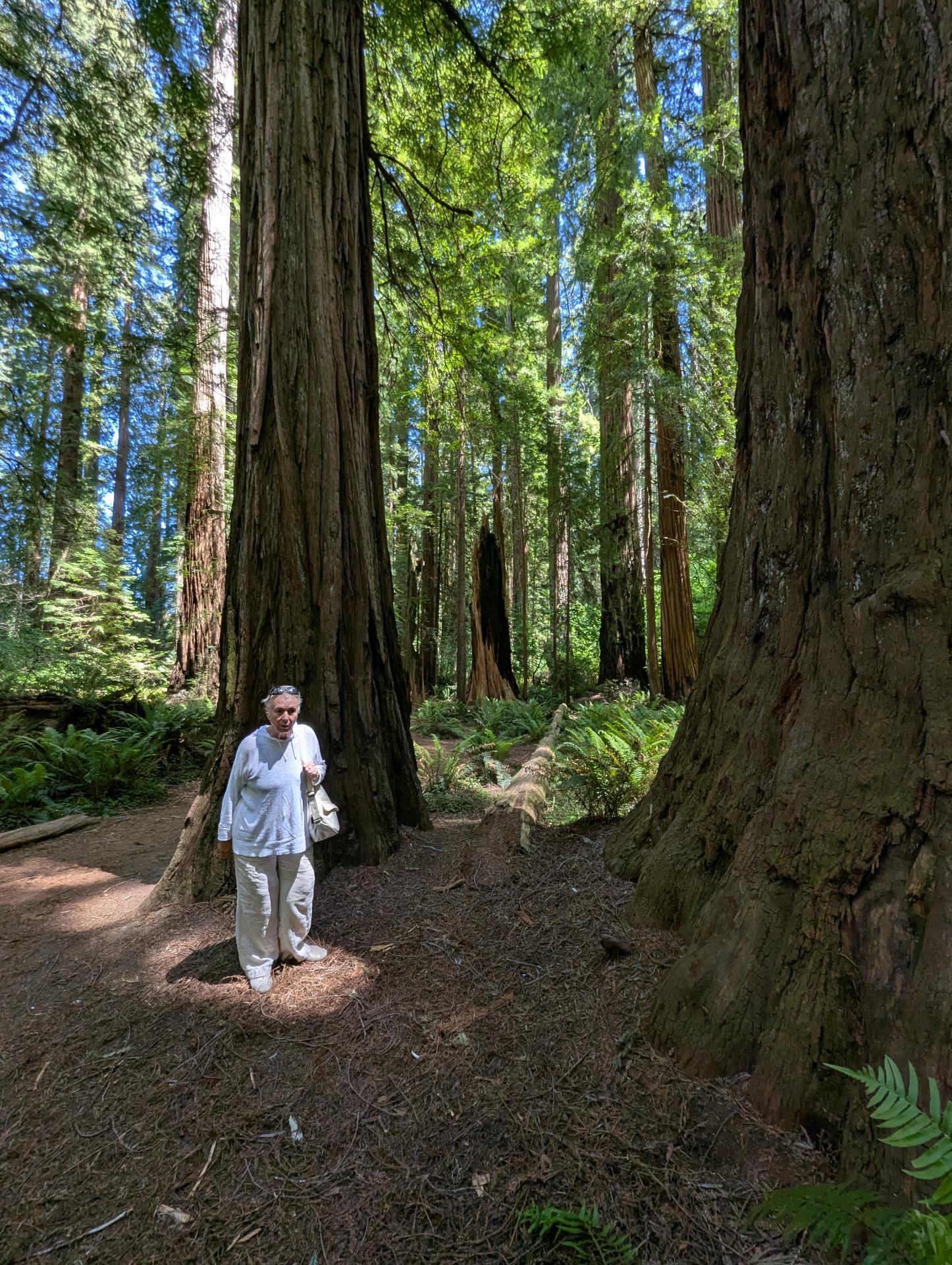 PXL_20250603_210114137sm