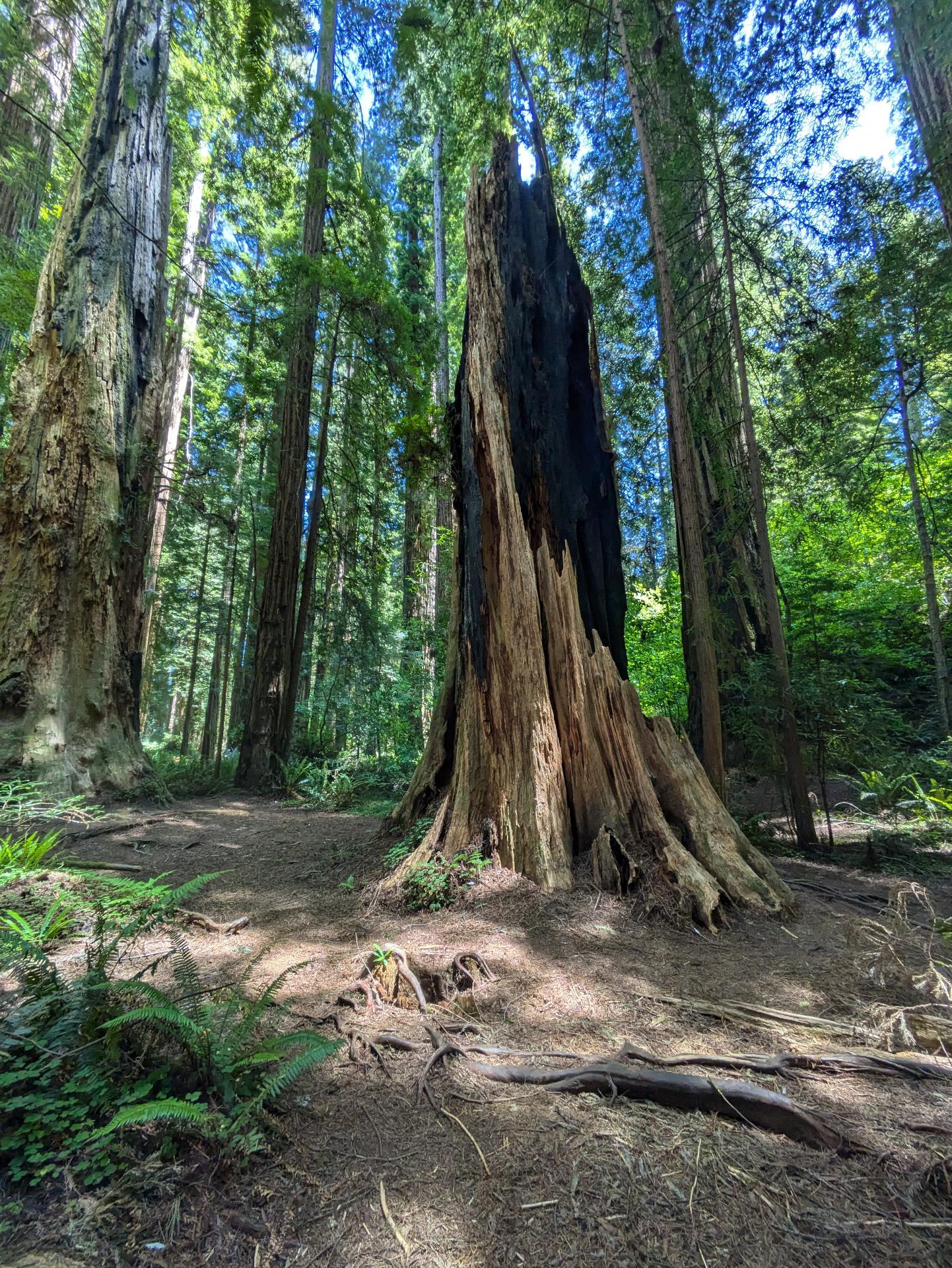 PXL_20250603_210334951sm