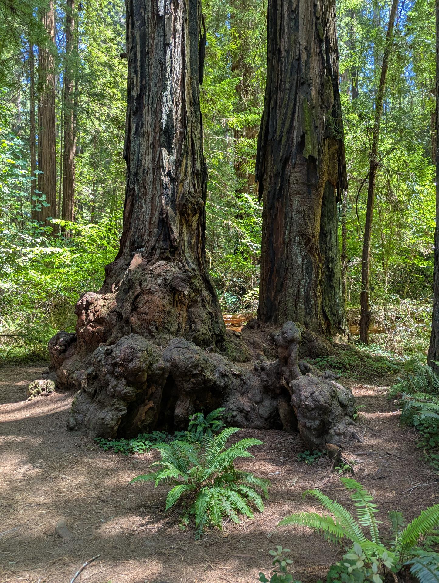 PXL_20250603_210917027sm