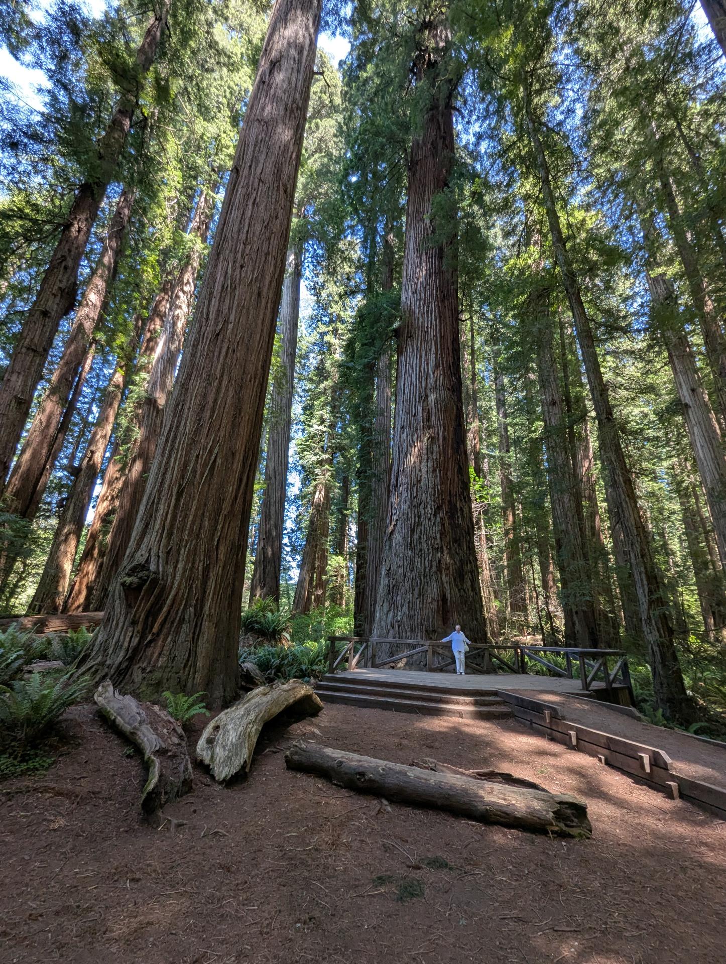 PXL_20250603_213610057sm