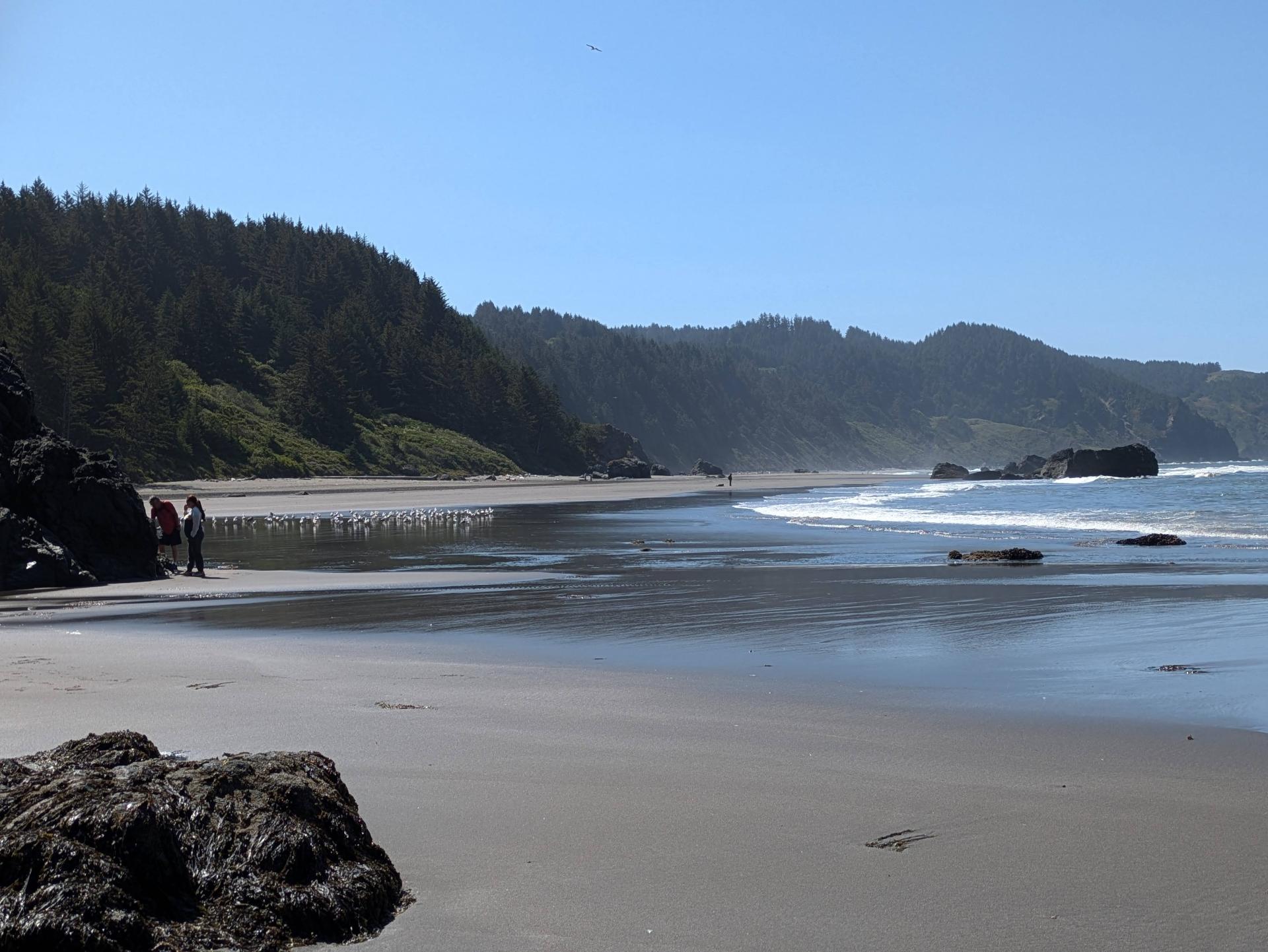 PXL_20250604_174835029sm