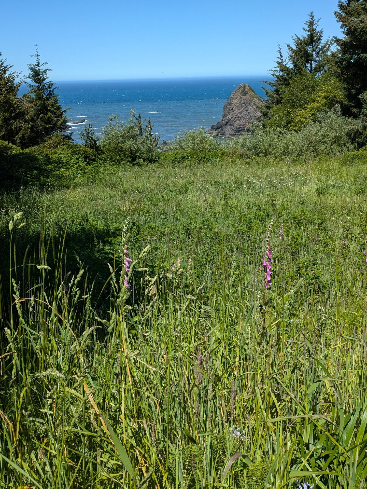 PXL_20250604_182247607sm