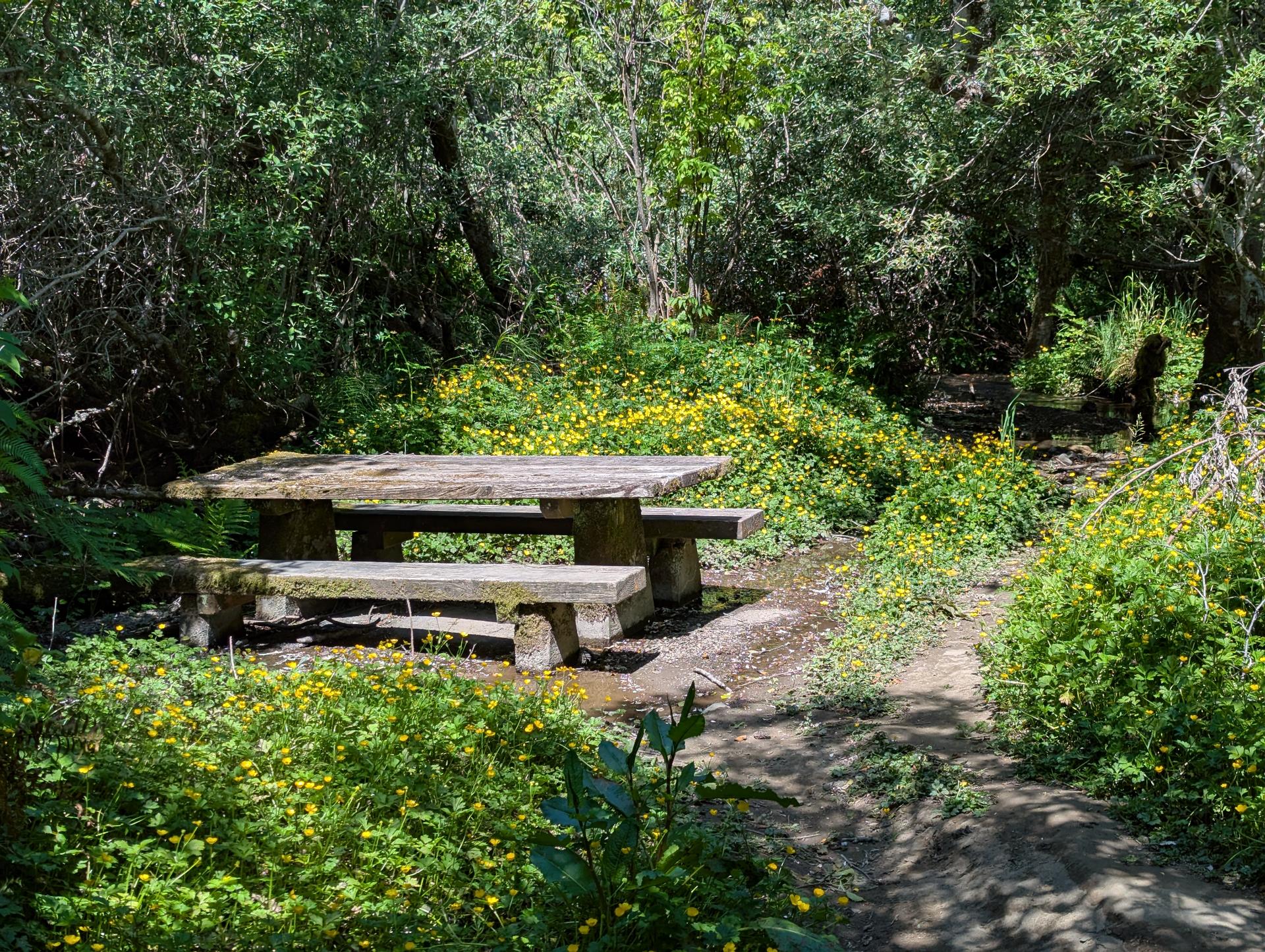 PXL_20250605_183229593sm