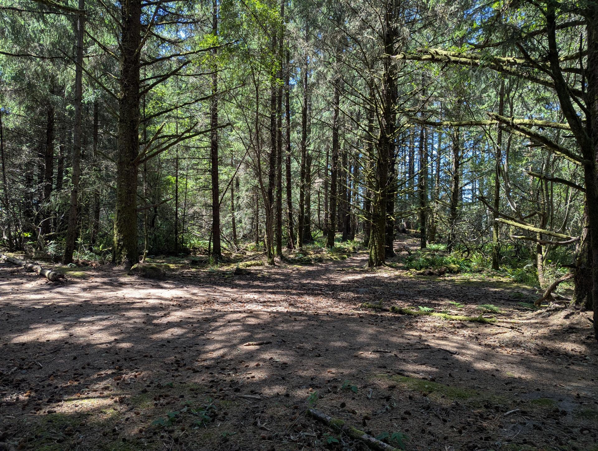 PXL_20250605_204416173sm