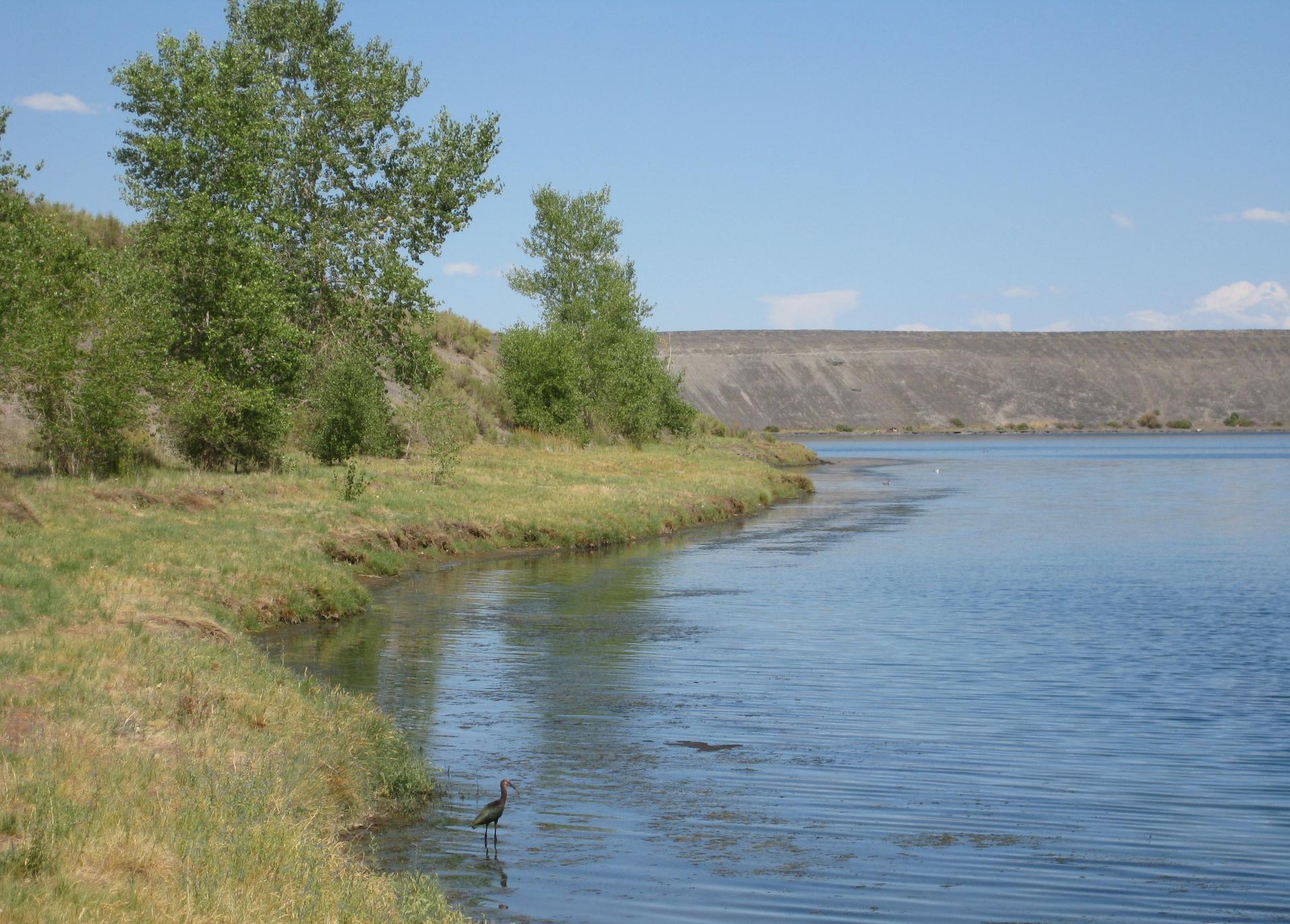 Im20080809cjIMG_1780