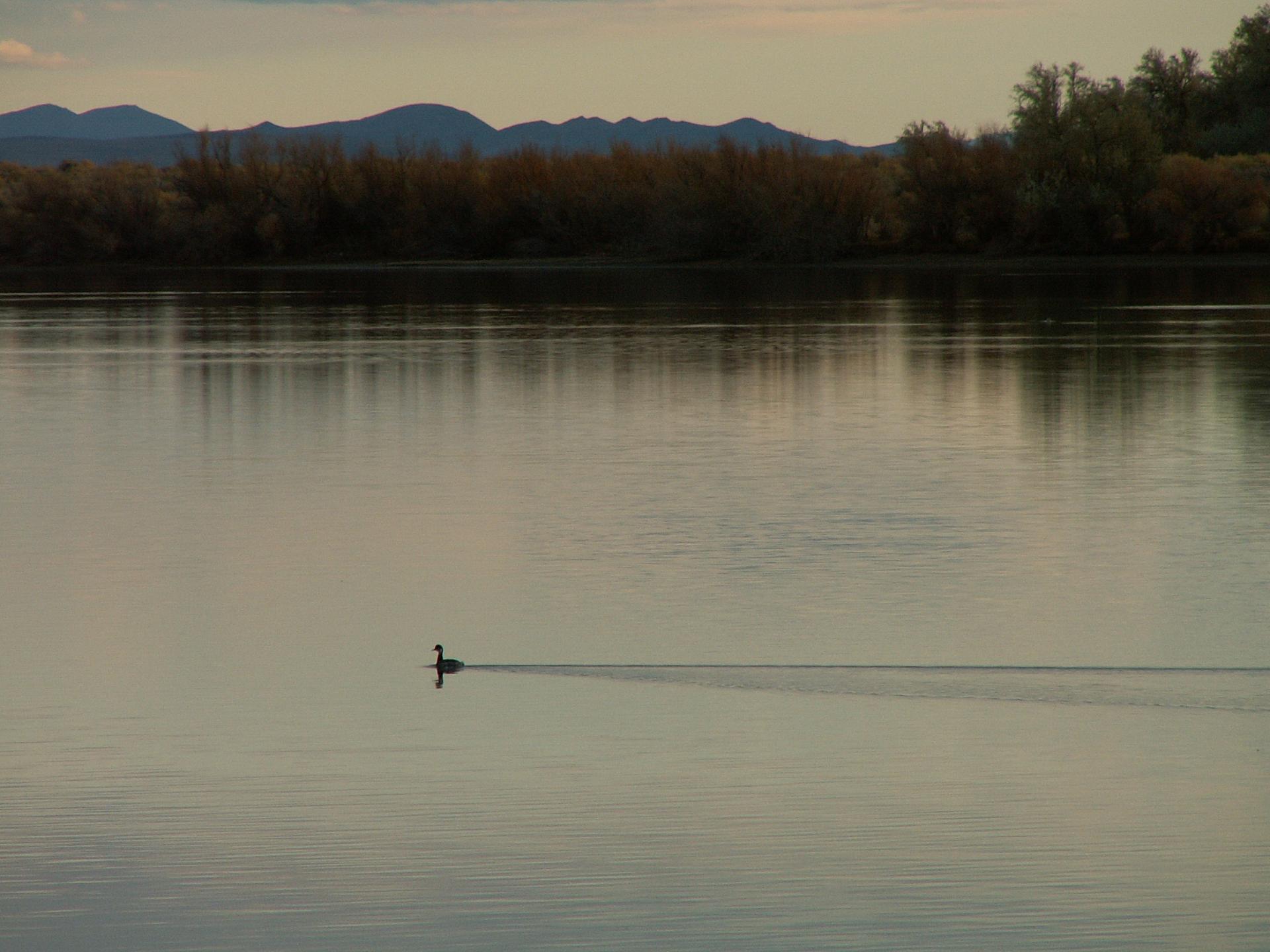 Im20081102cmPICT1675