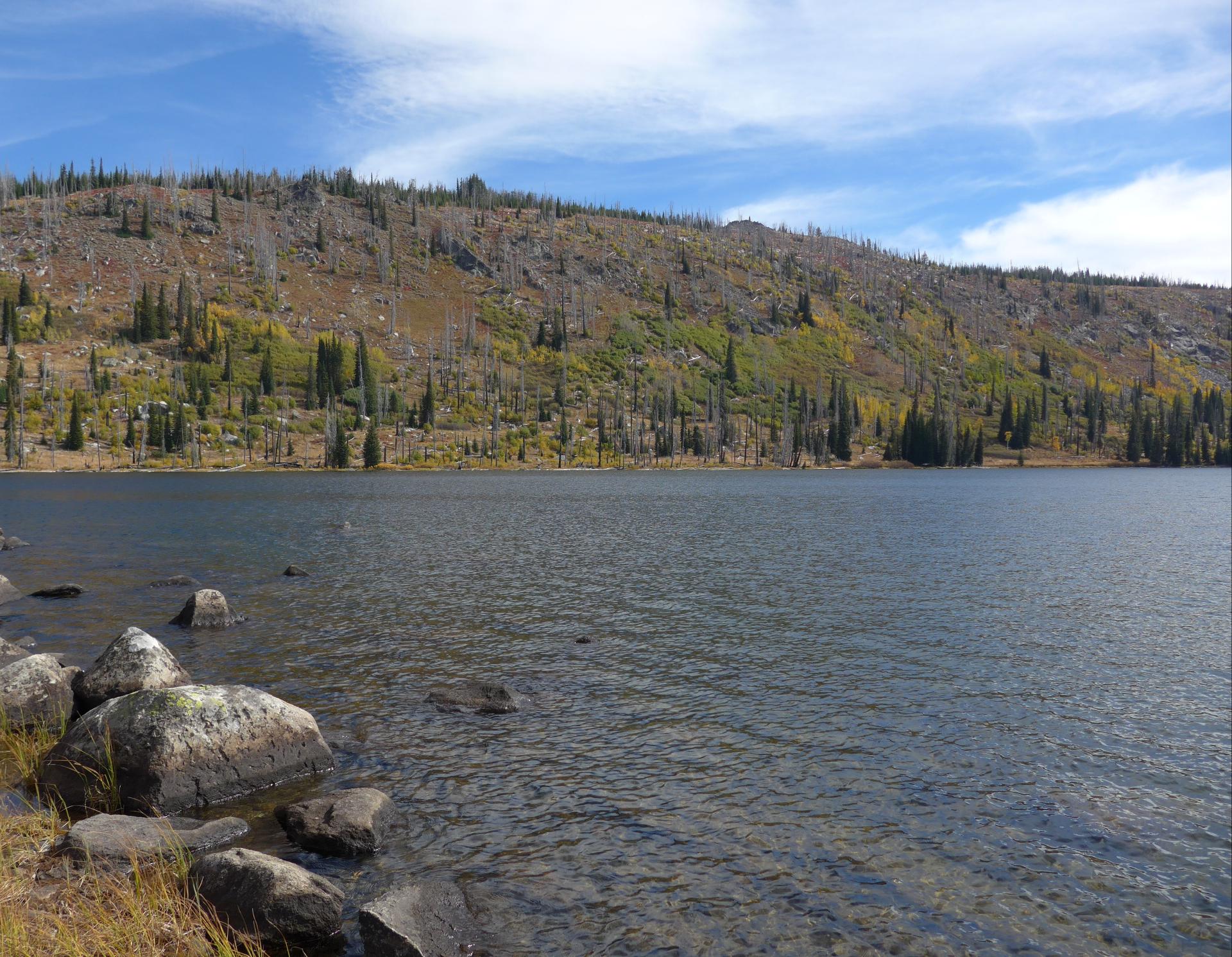 Im20151003pdP1110470