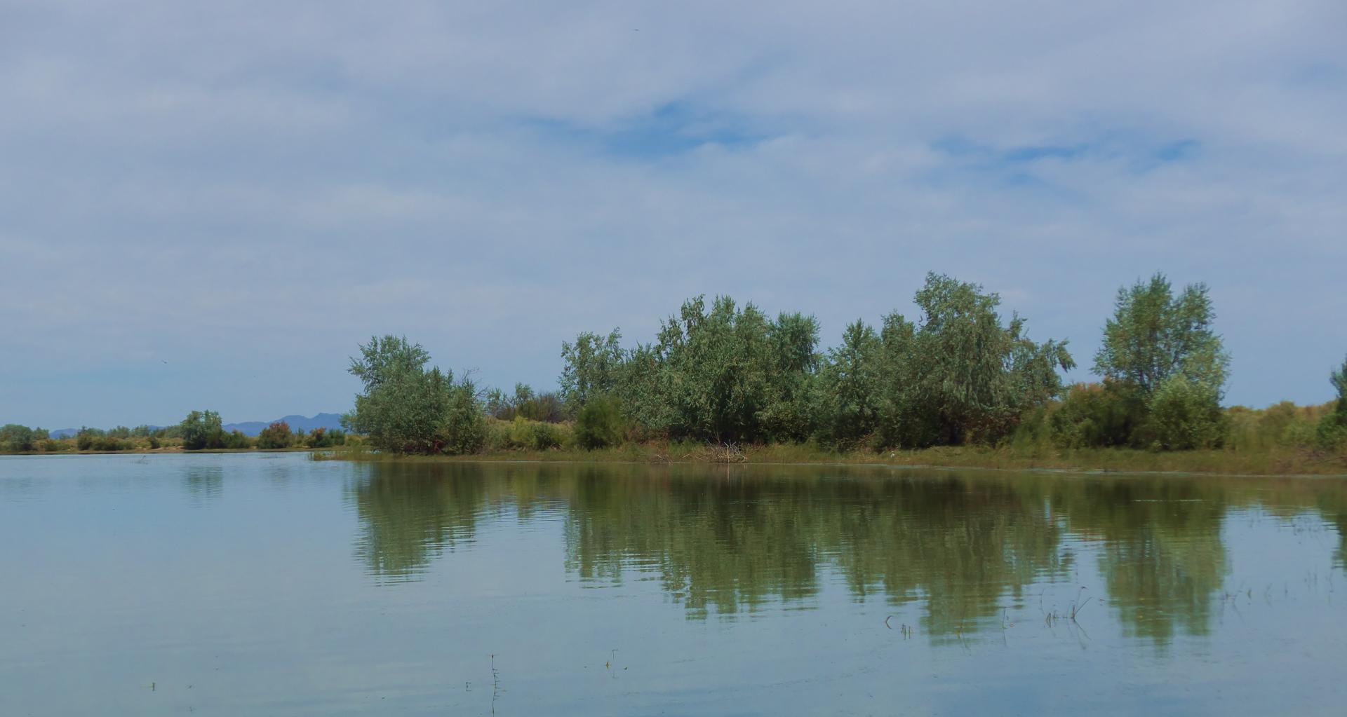 Im20160708pdjP1140678rw2