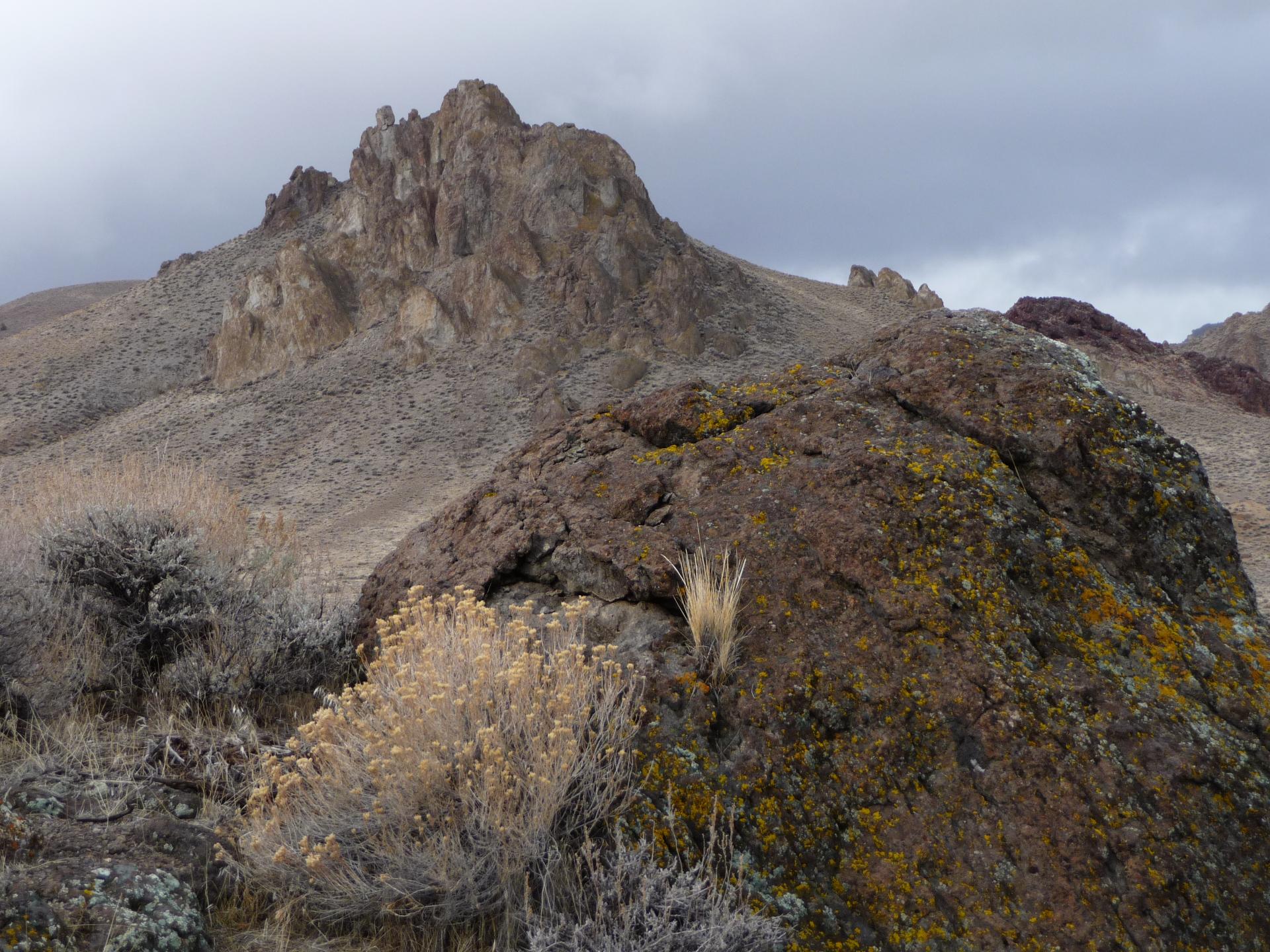 Im20090124cjpP1020048