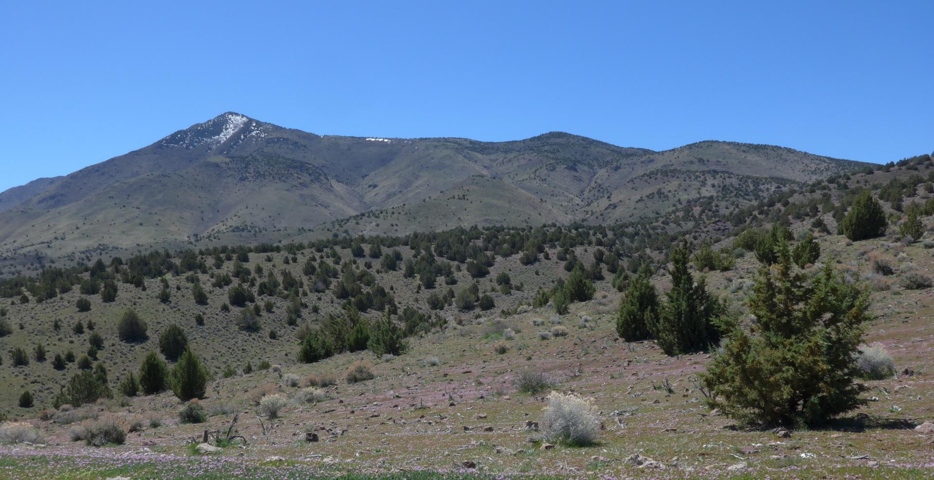 Im20160406pdP1130301