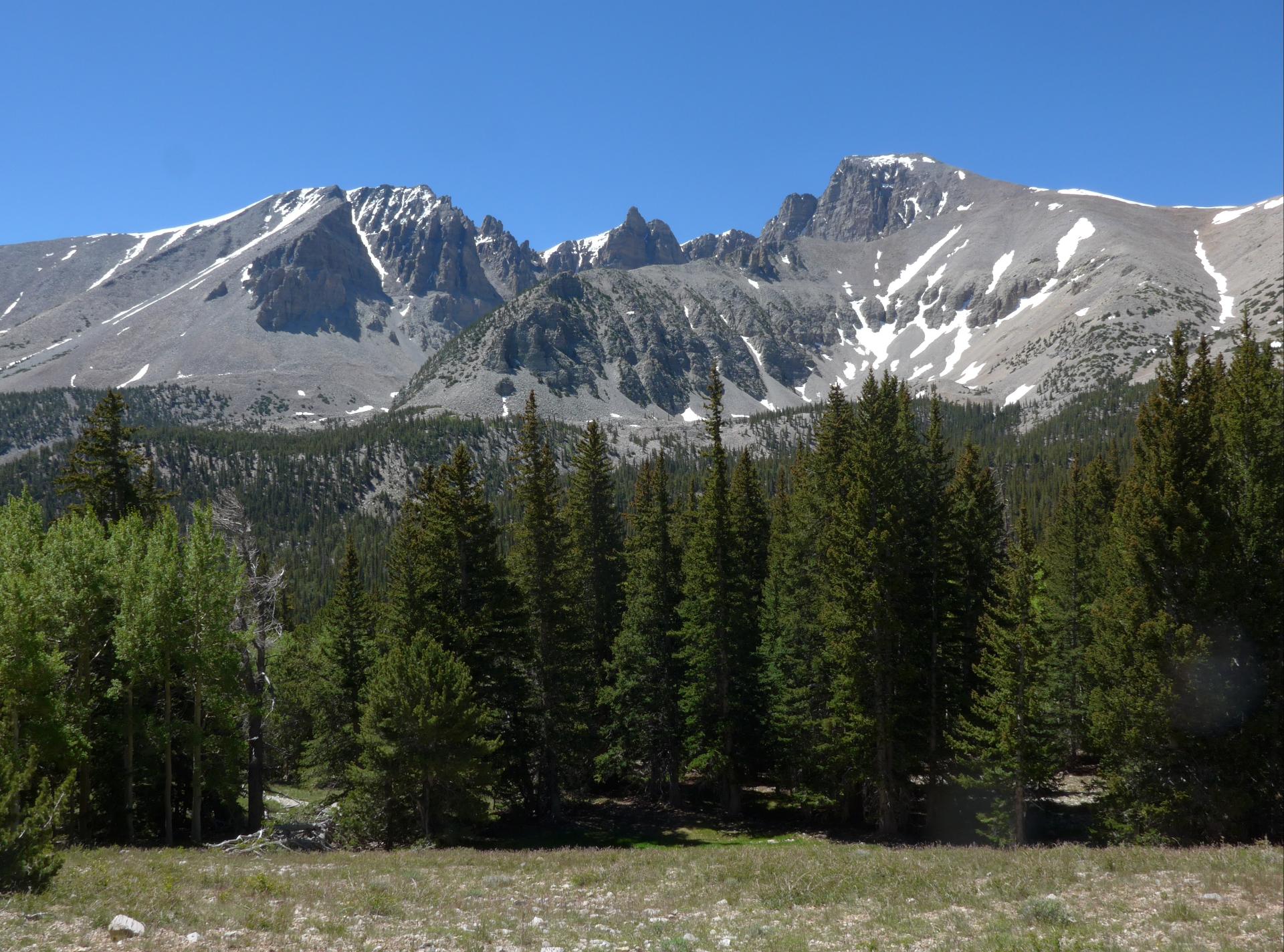 Im20180623pdP1200072