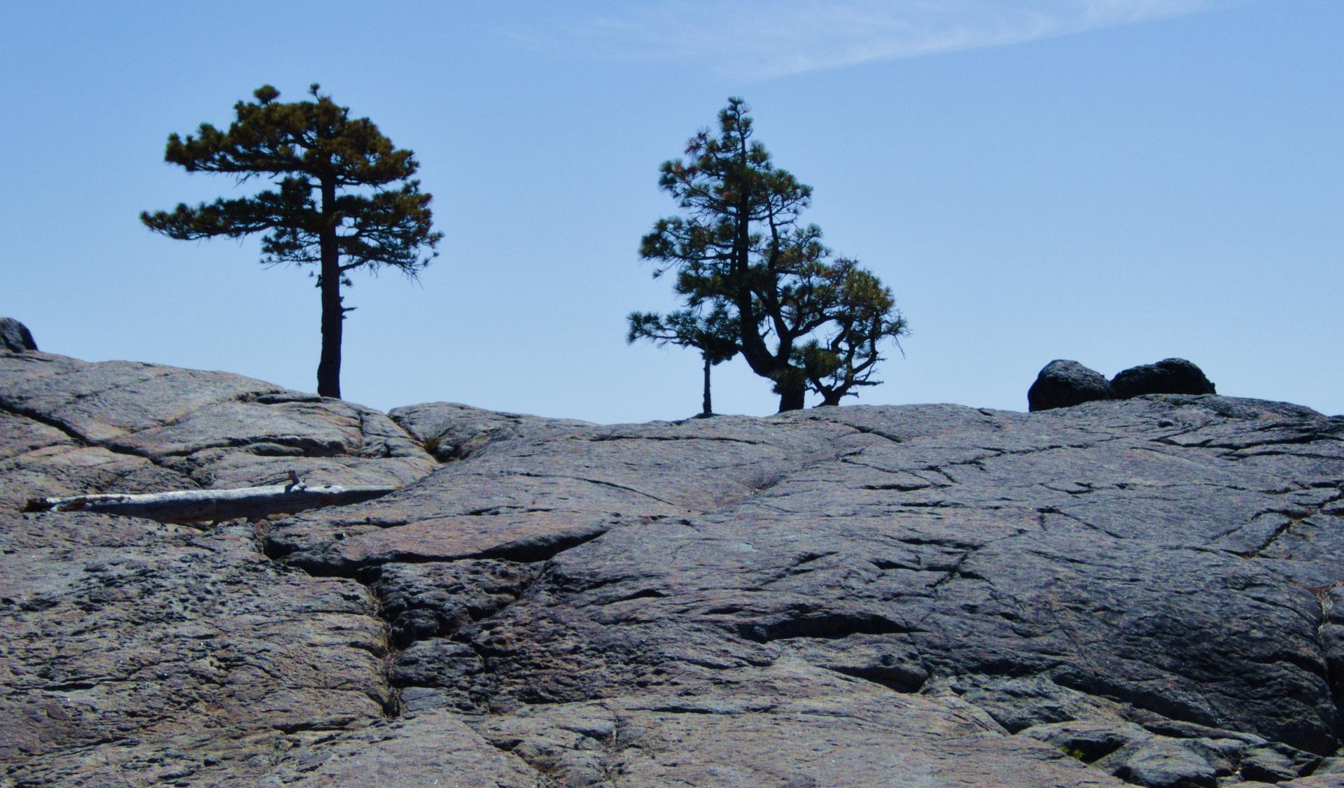 Im20190827rw2pjP1030722rw