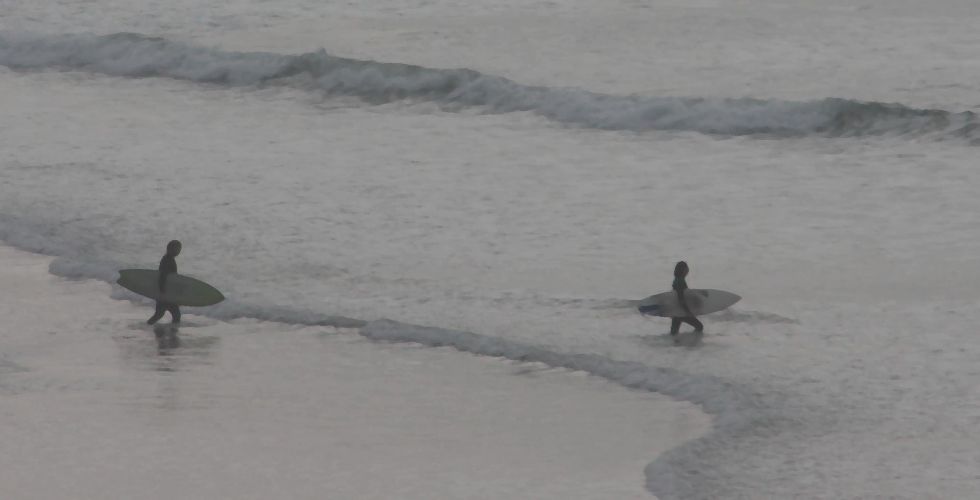 Im20100116cr1IMG_1641