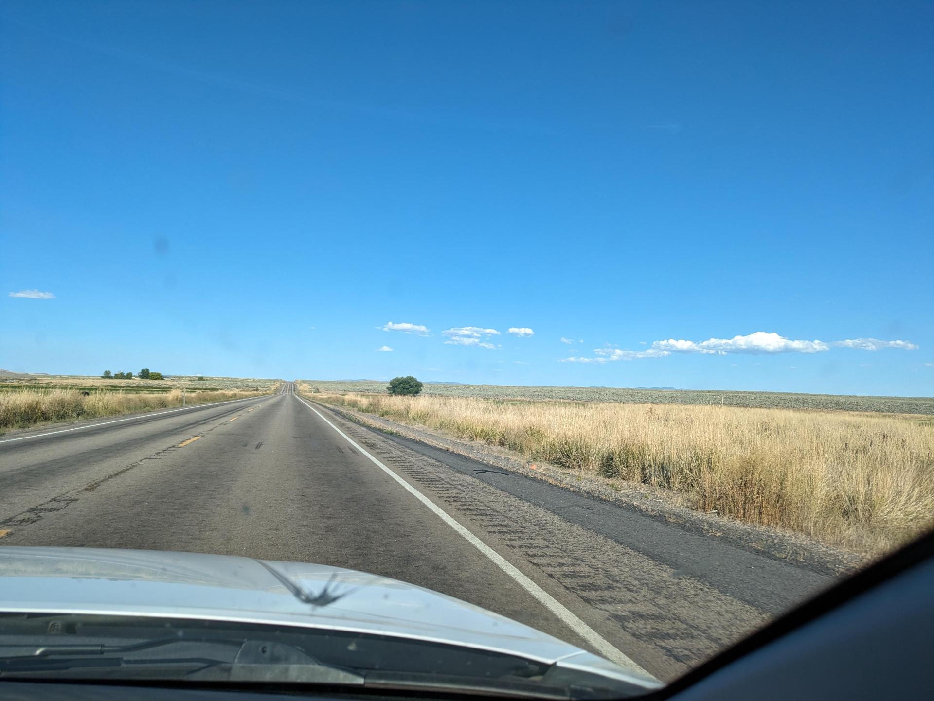 D20230909F230118619sm