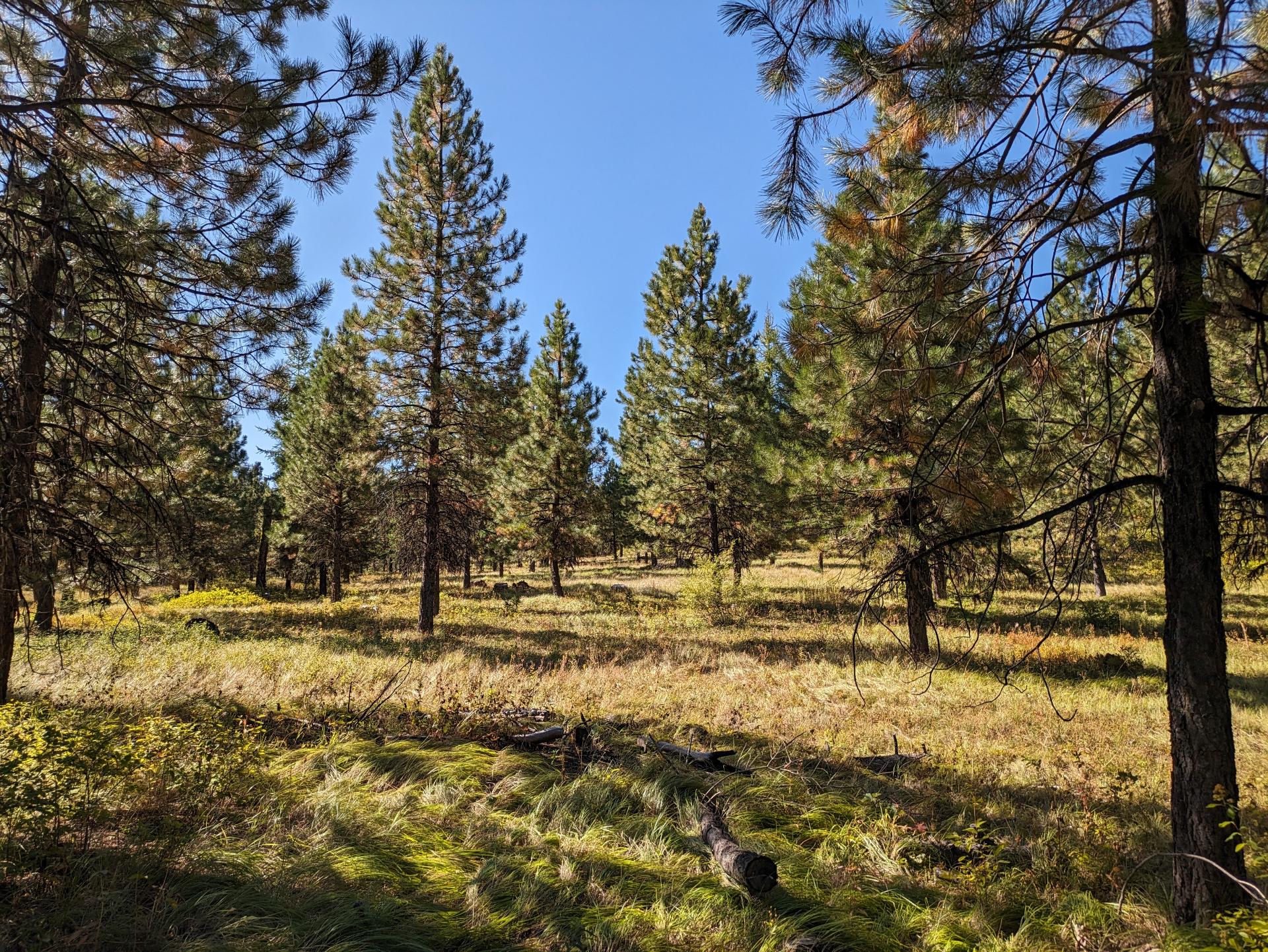 D20230913F171802385sm