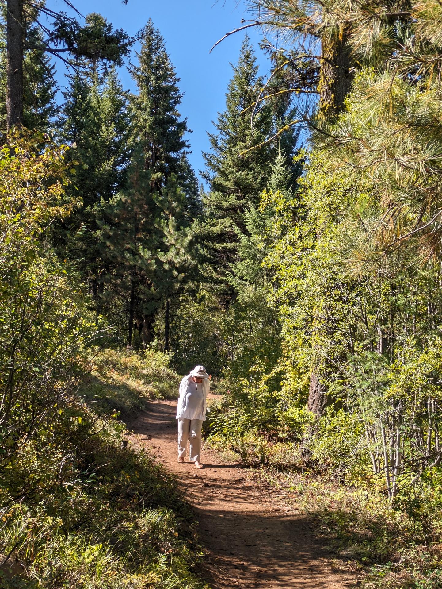 D20230913F172341347sm