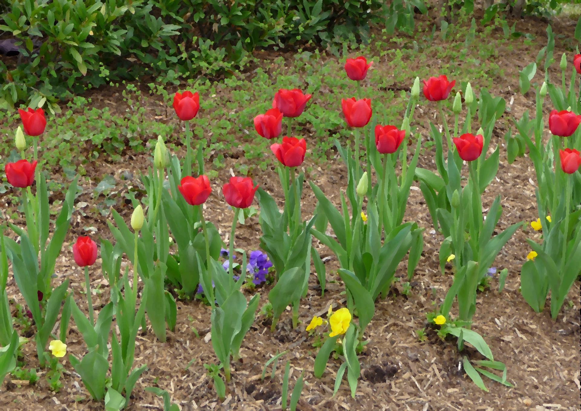 D20090422F1030580Osm