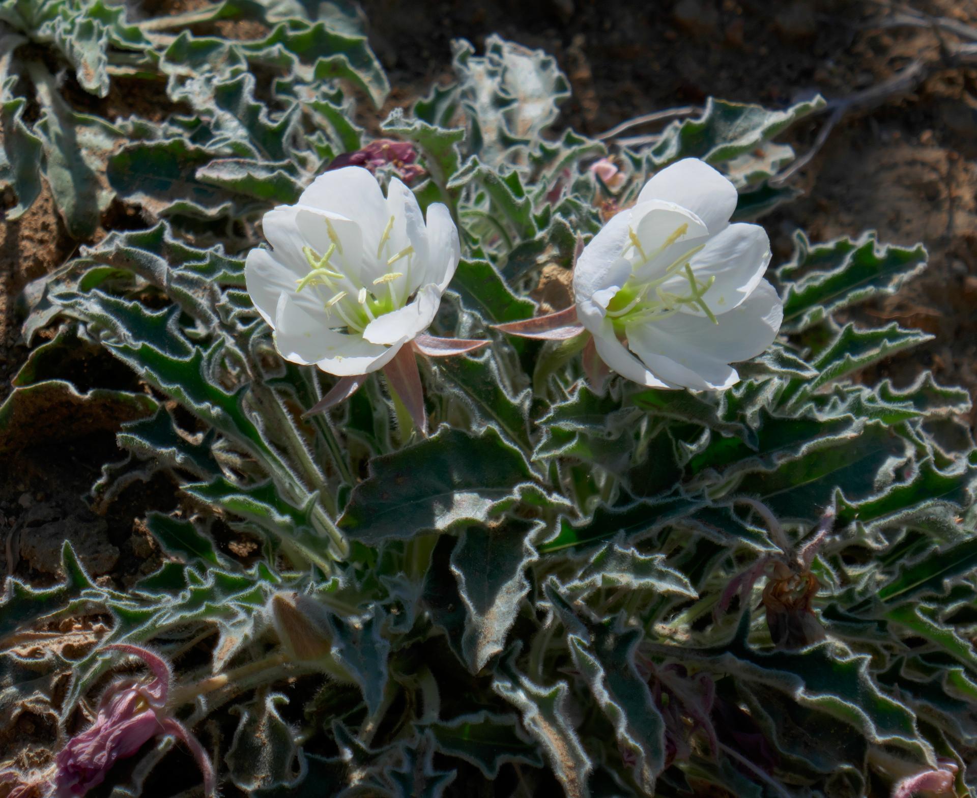 D20230630F1090858rwsm