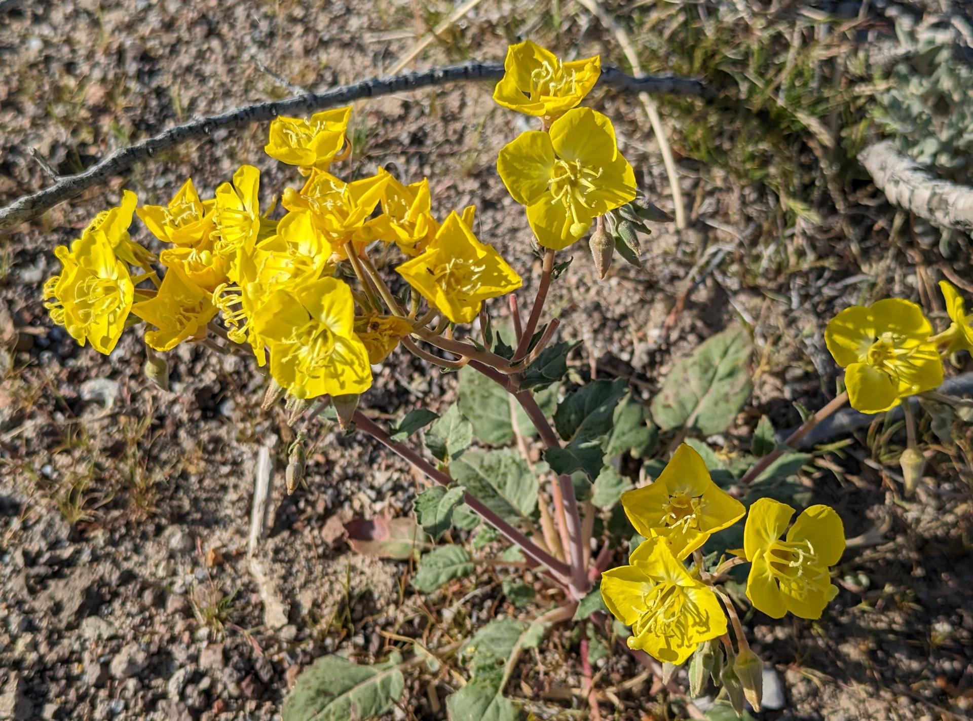 D20240412F152415671sm