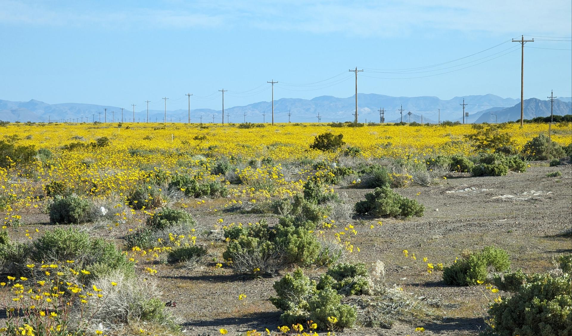 D20240412F152450359sm