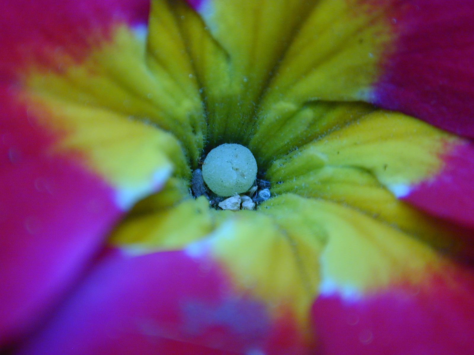 Im20041024dDSCN0039sm