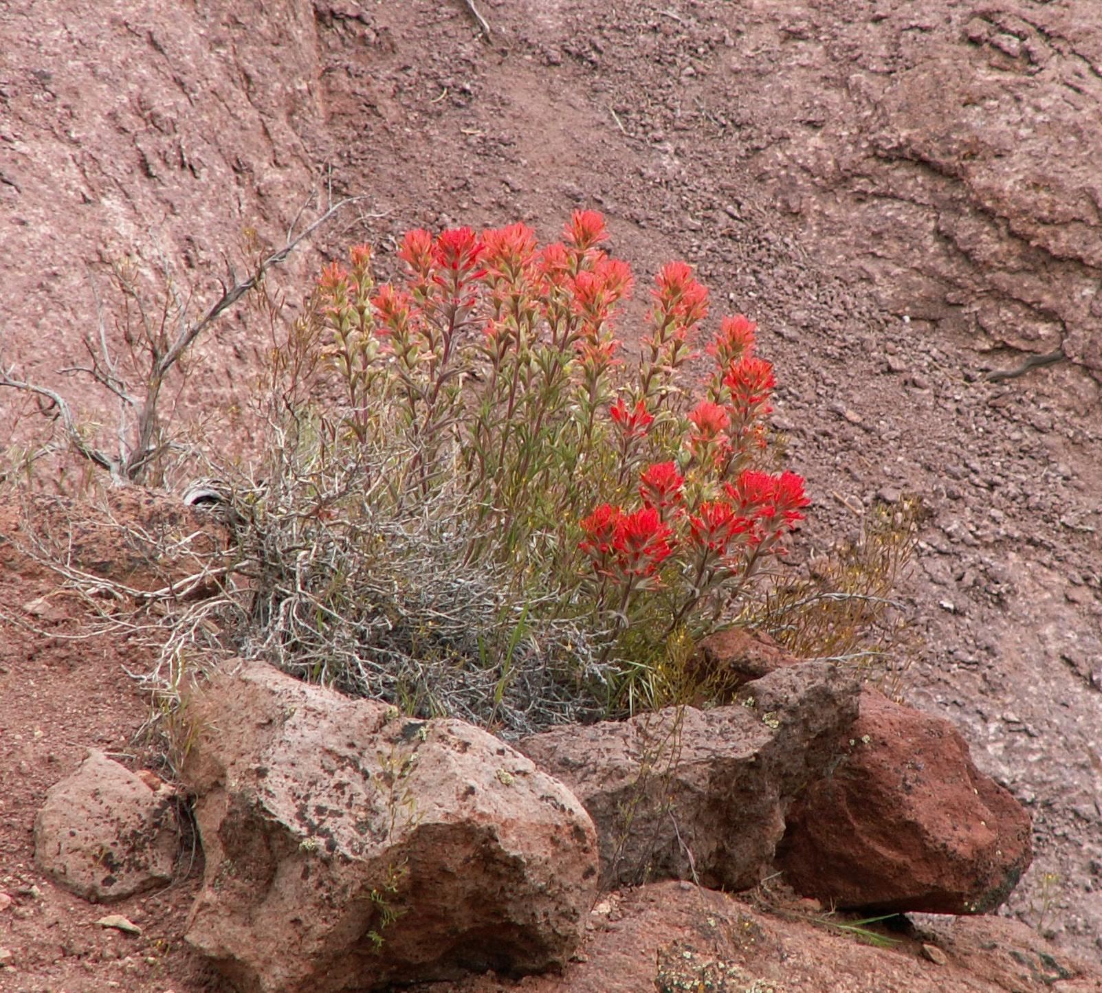 Im20050507m2PICT0059sm